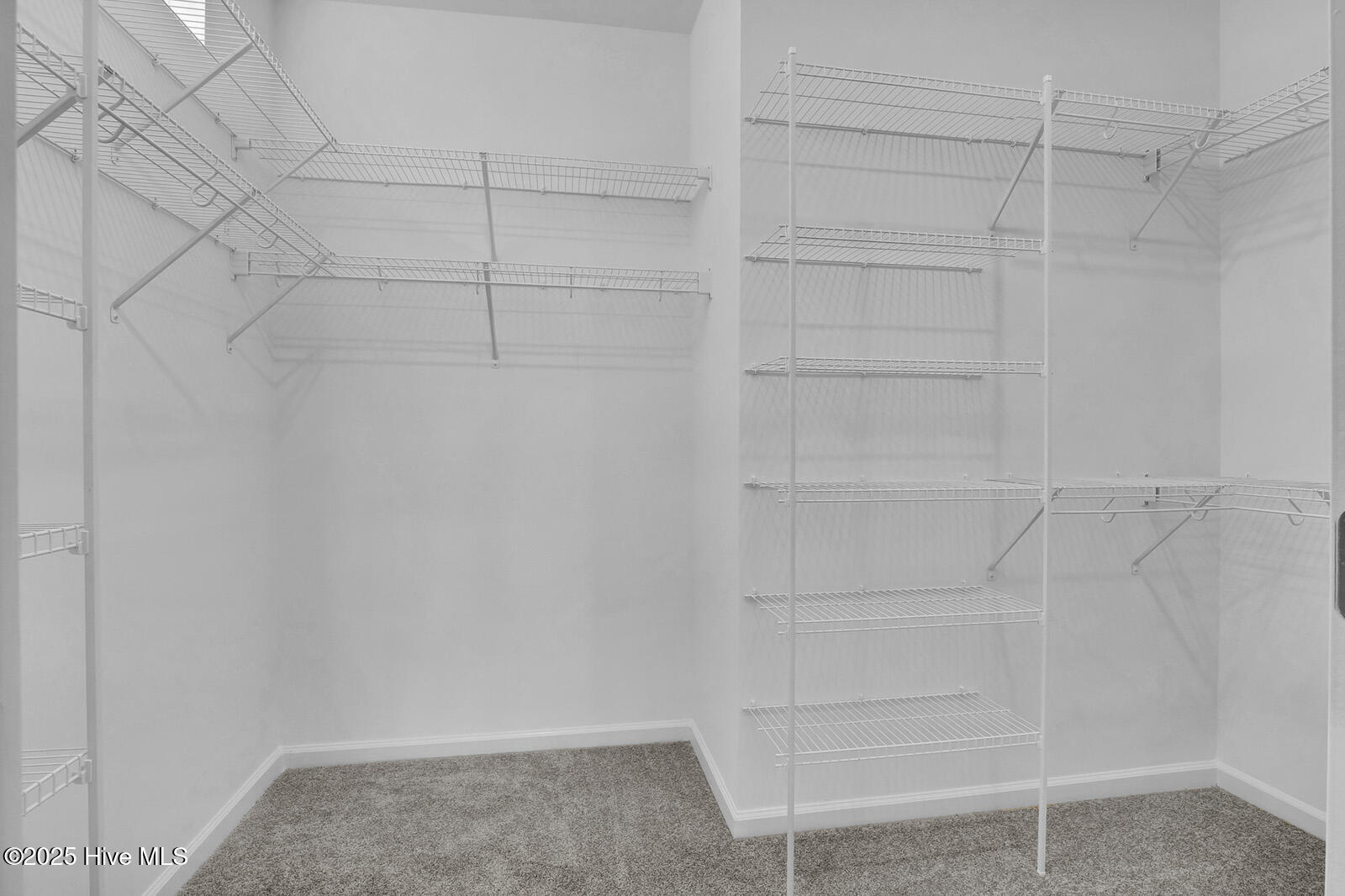 100515098 | Photo 25