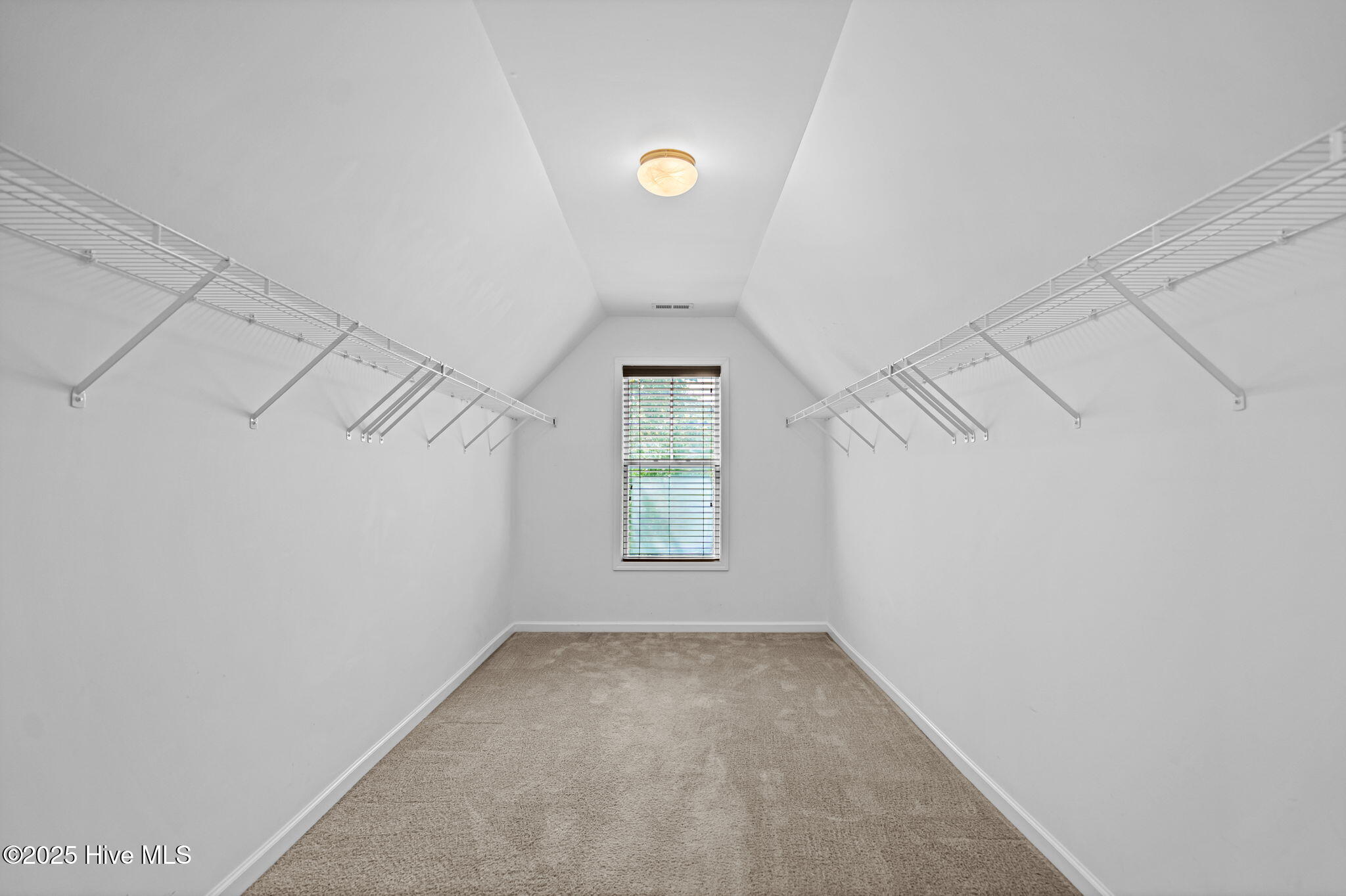 100522493 | Photo 20