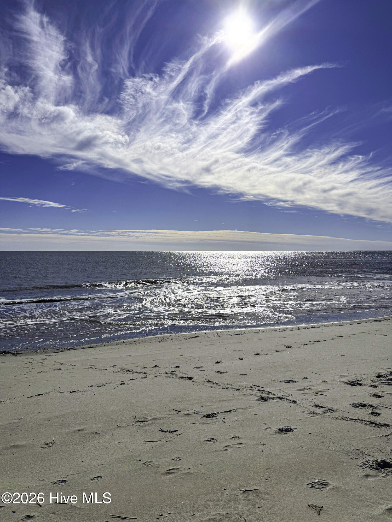 100554981 | Photo 124