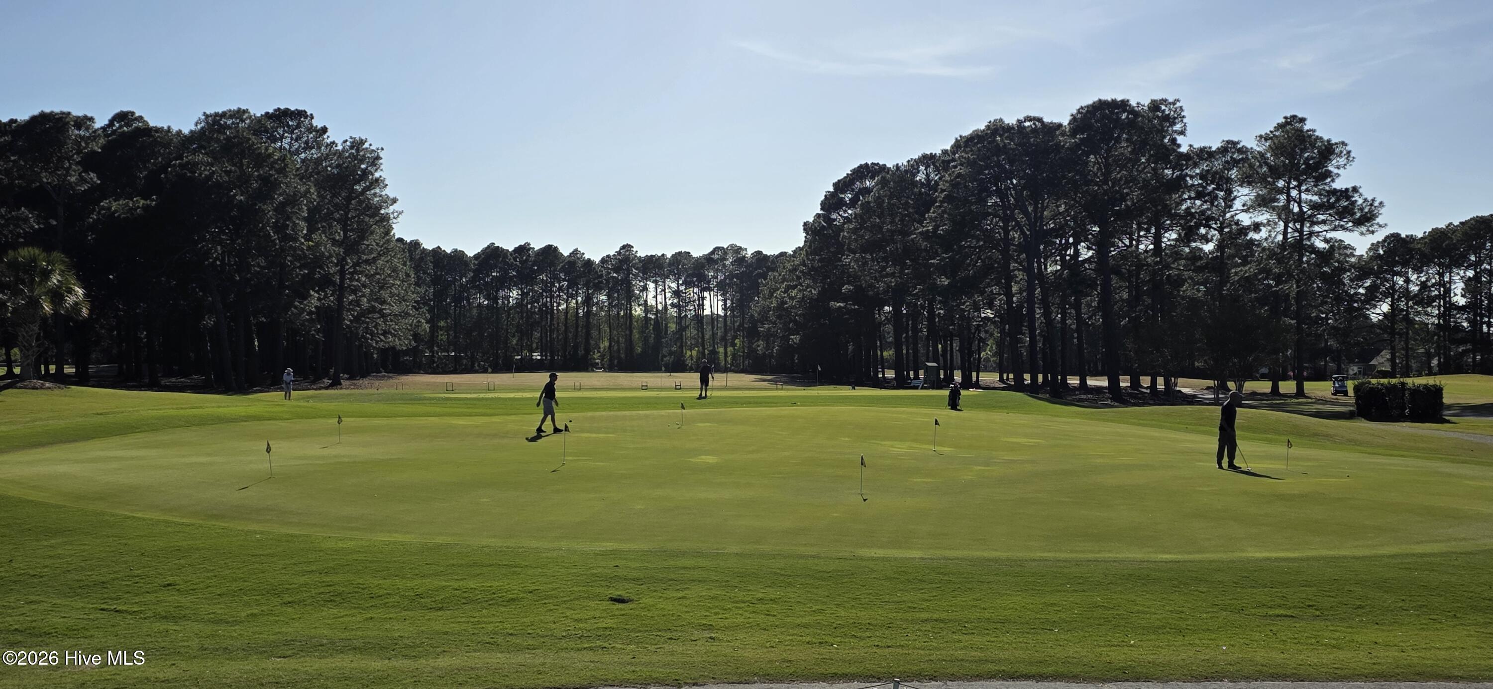 100564736 | Photo 45