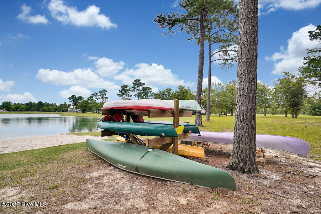 100564545 | Photo 103