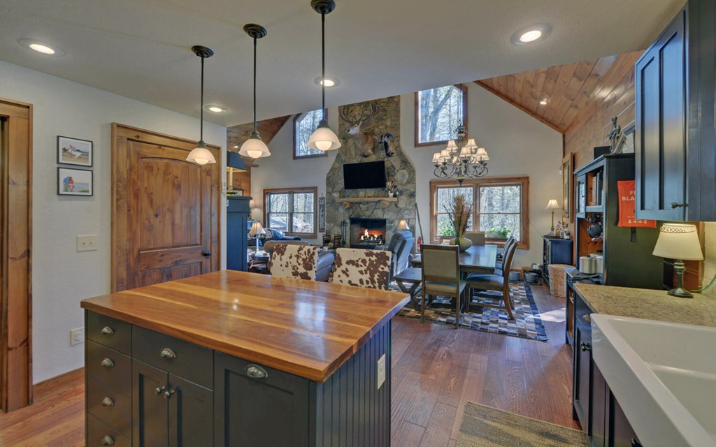483 Vineyard Creek Way, Murphy, NC 28906 Listing Photo  9