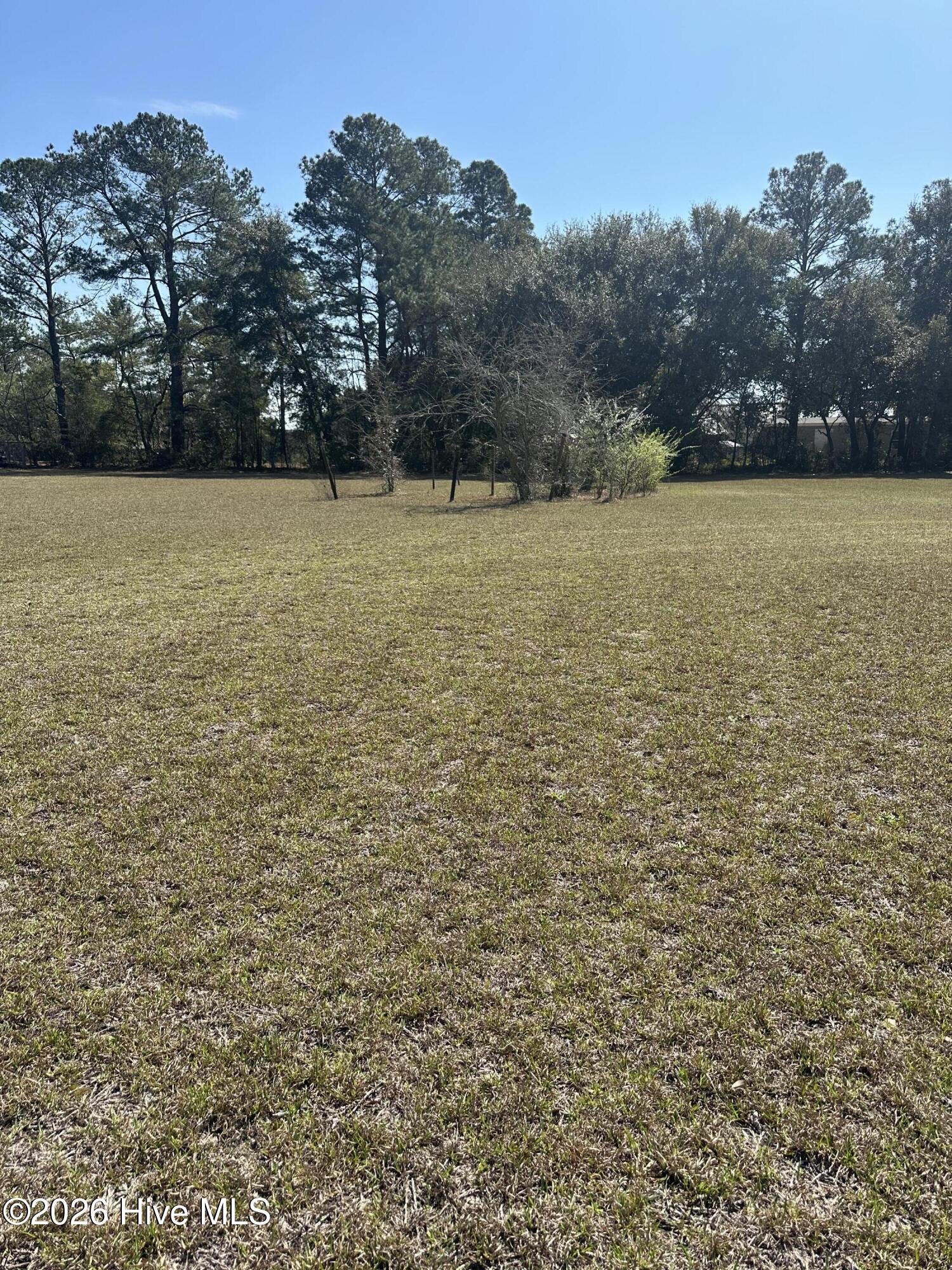 Homes for sale in Evergreen, NC | 70 Rough Horn Rd, Evergreen, NC 28438 | MLS# 100560638