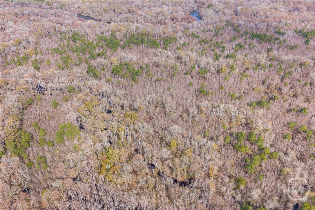 1000 Old River Road S, Brooklet, GA, 30415