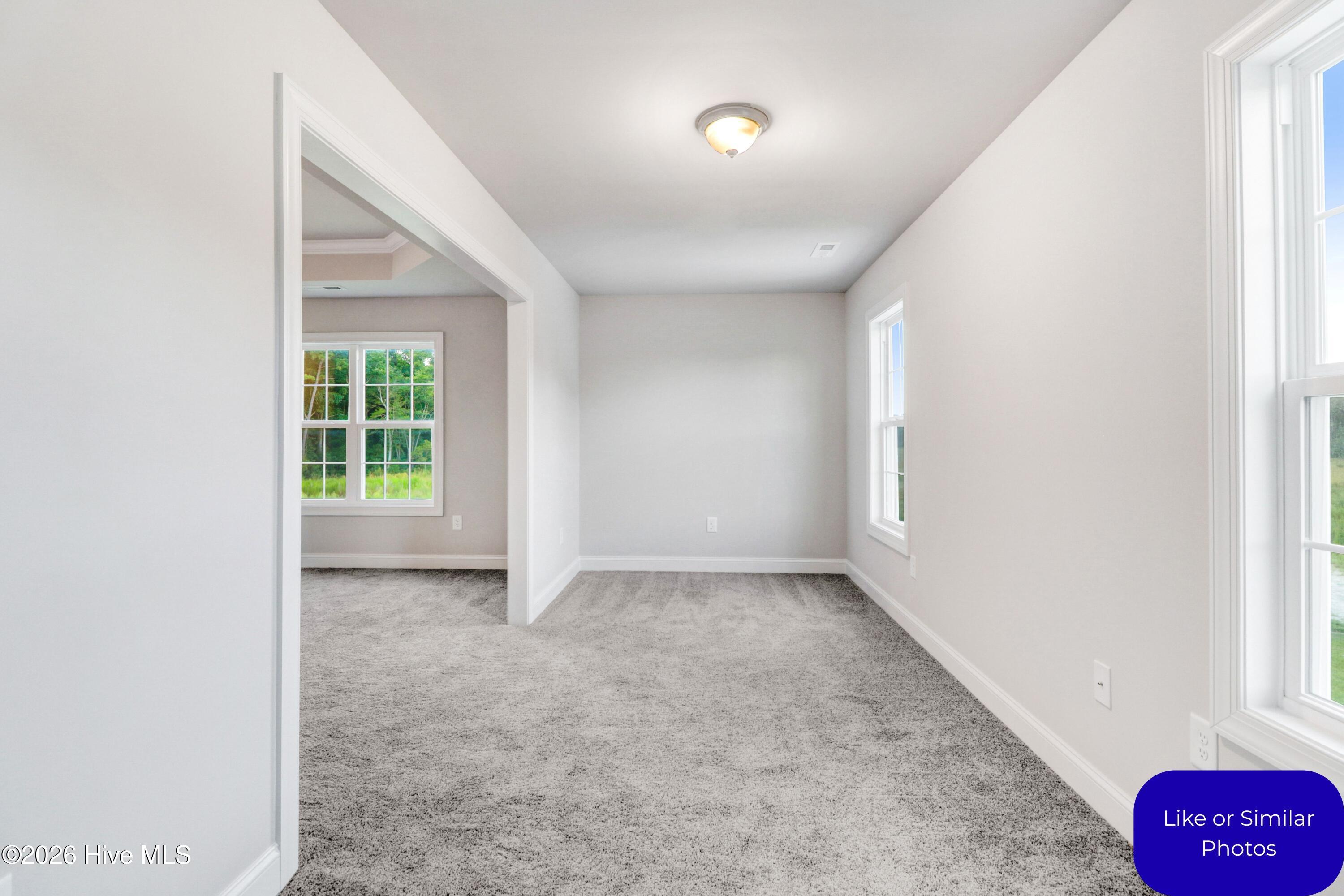 100570215 | Photo 25