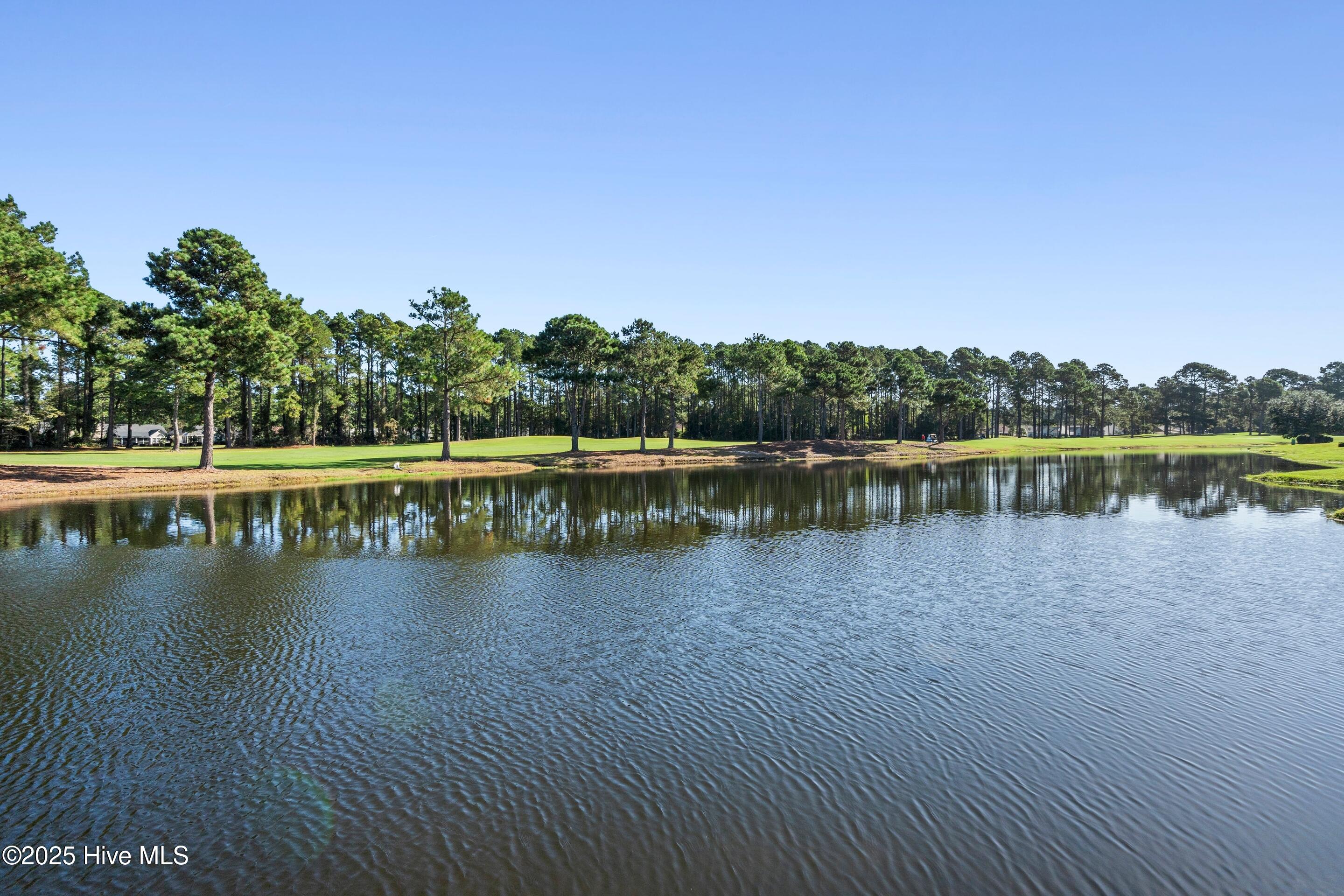 100551288 | Photo 12