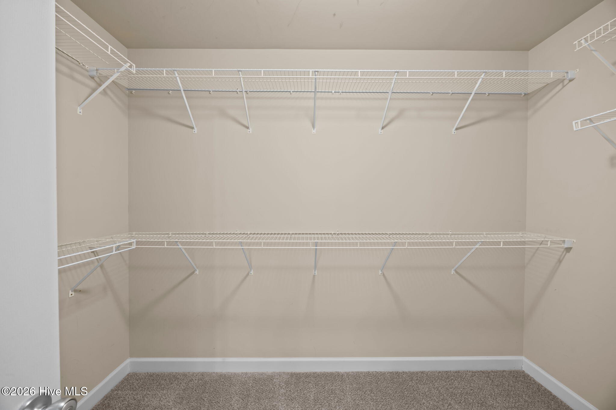 100557440 | Photo 32