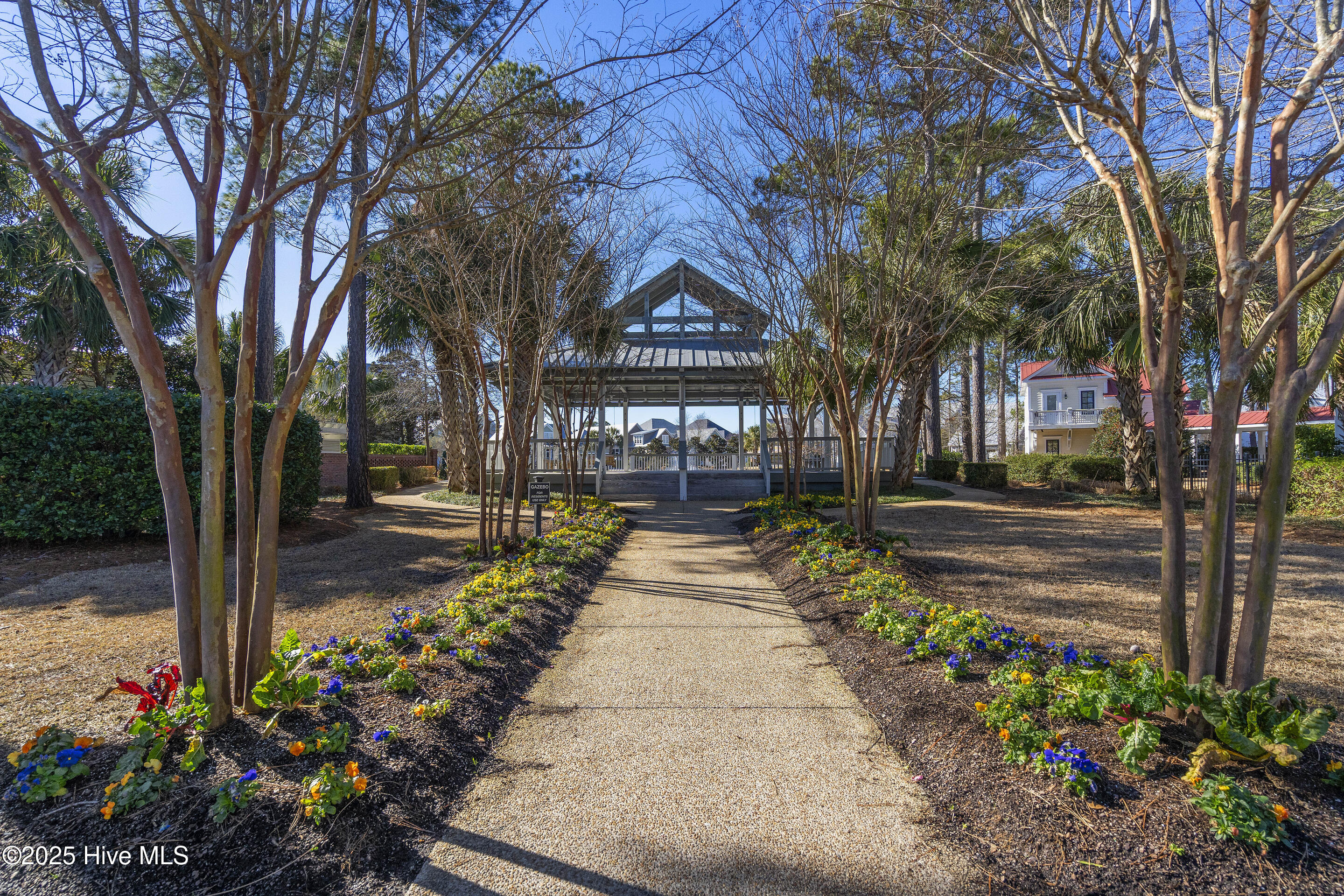 100537551 | Photo 73