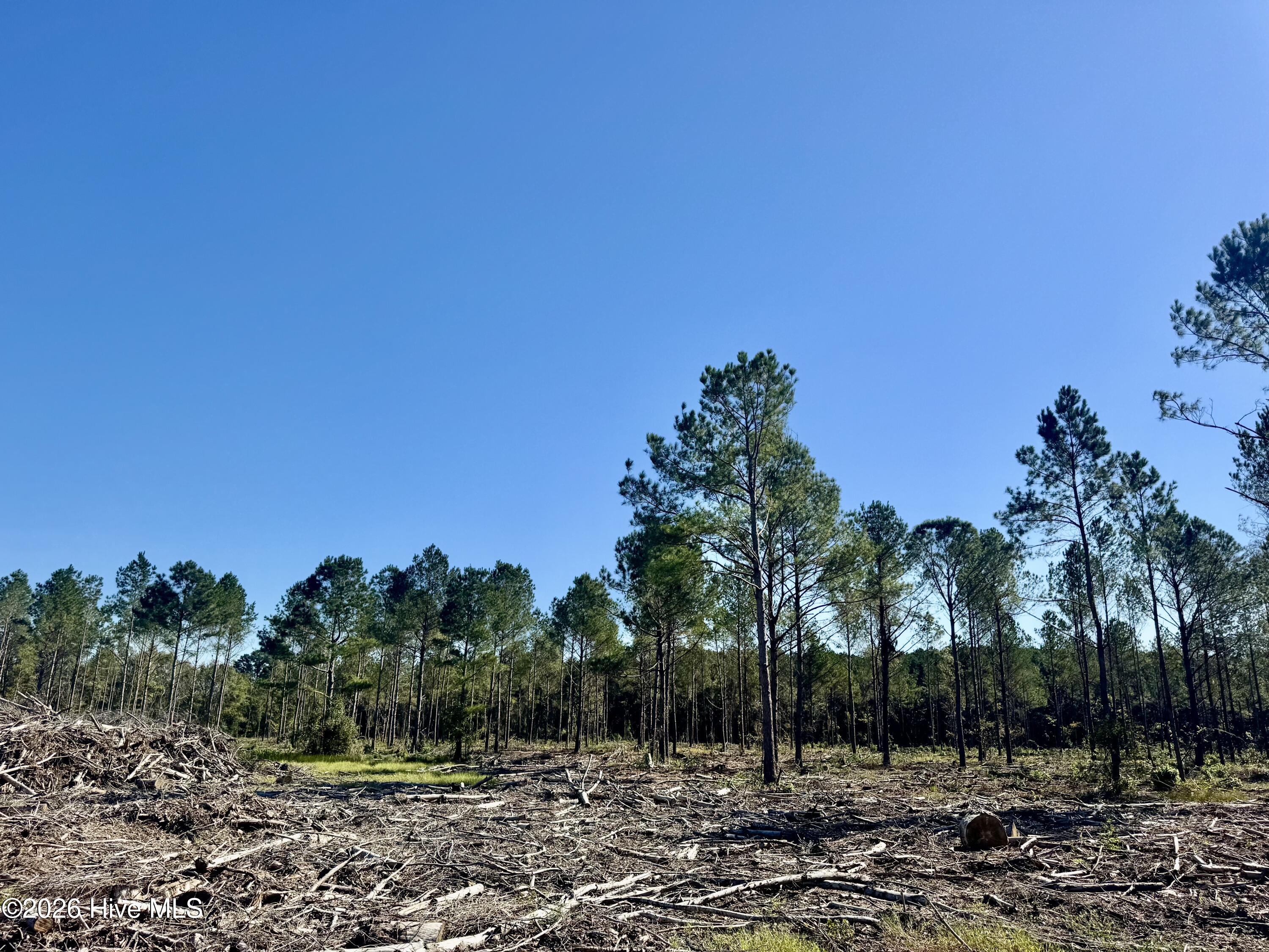 3rd image of 0 Fayetteville Rd, Garland, NC 28441 | MLS# 100592191