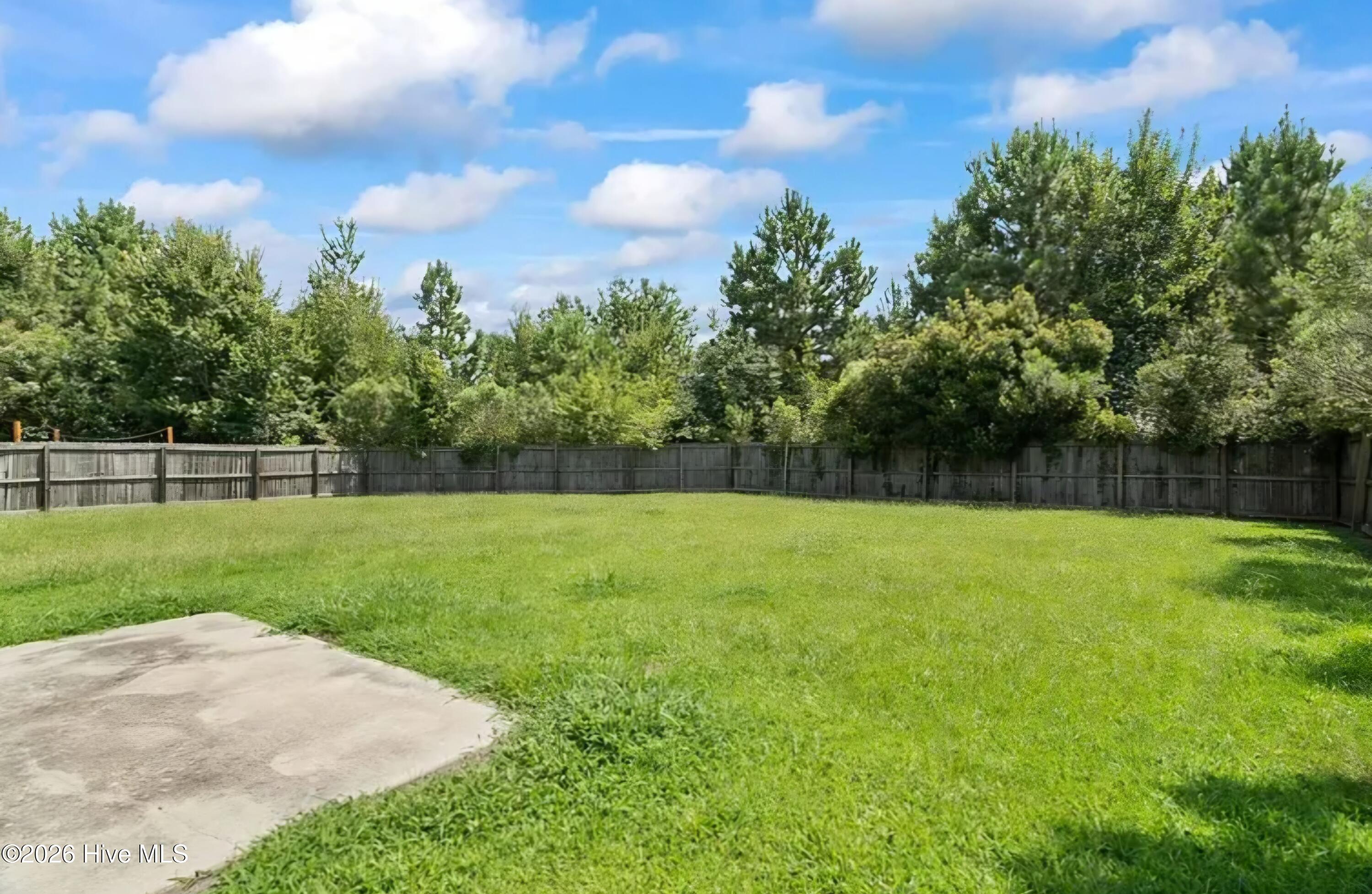 100563009 | Photo 10