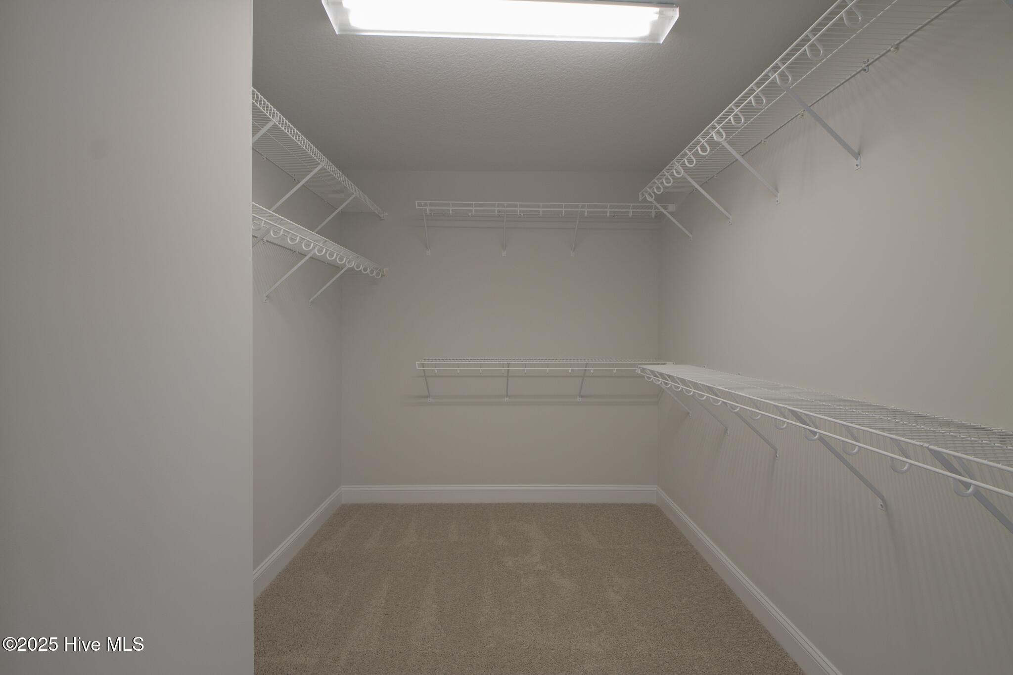 100504969 | Photo 20