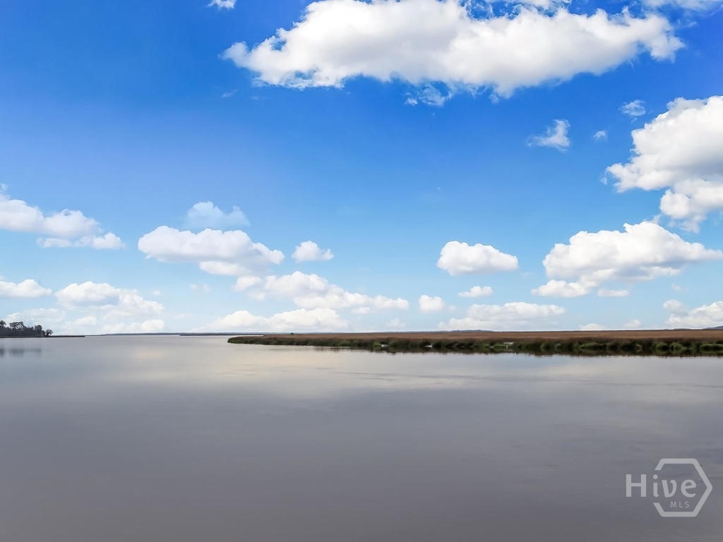 374 Coffee Bluff Villa Road, Savannah, GA 31419 Listing Photo  41