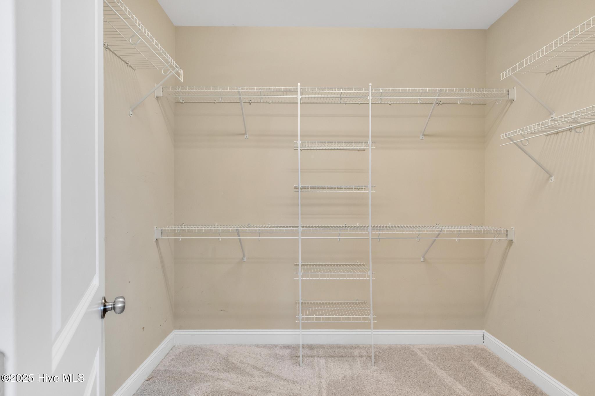 100531239 | Photo 28