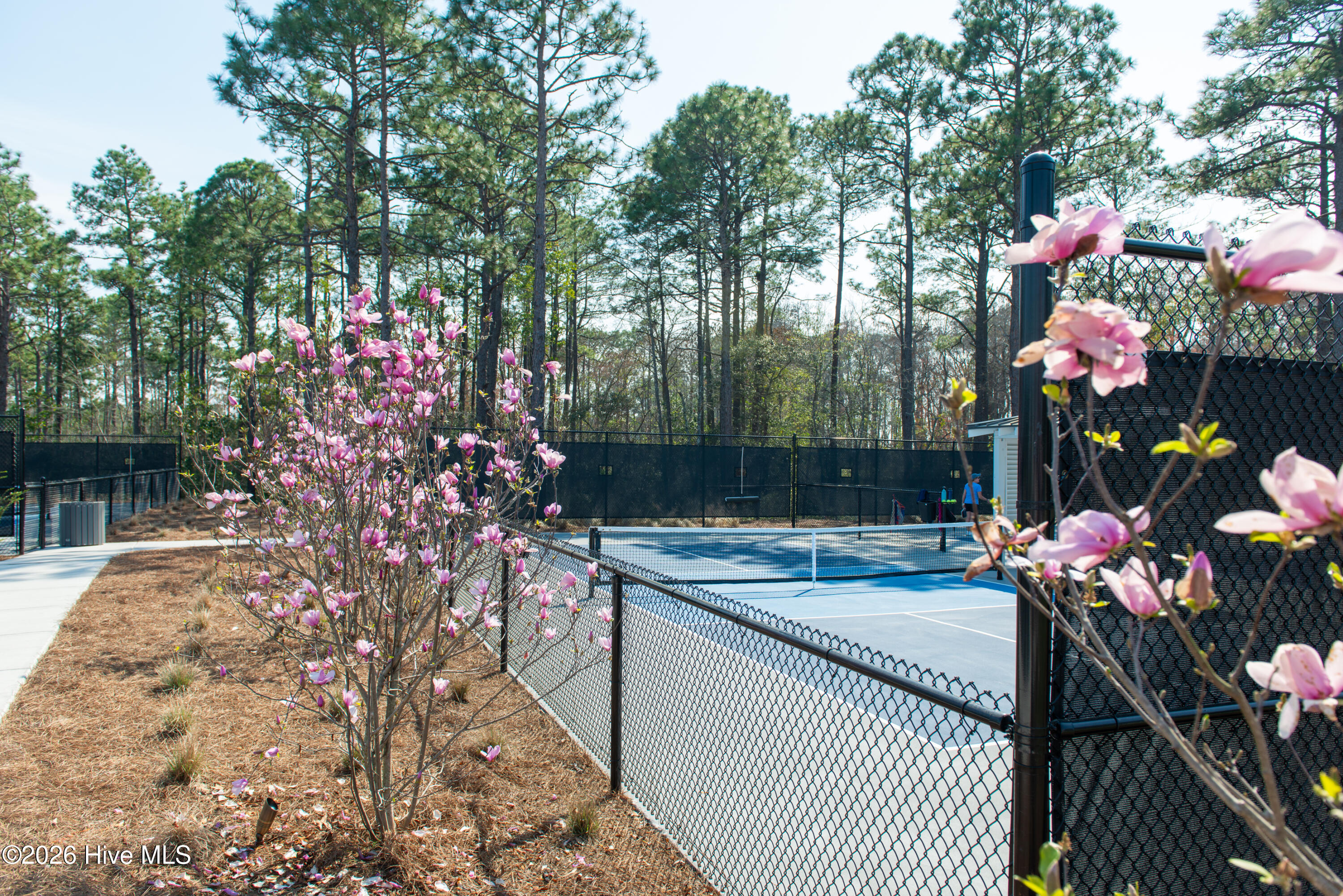 100560299 | Photo 102