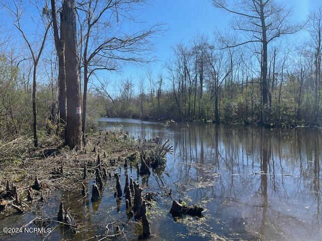 100444039 | Photo 11