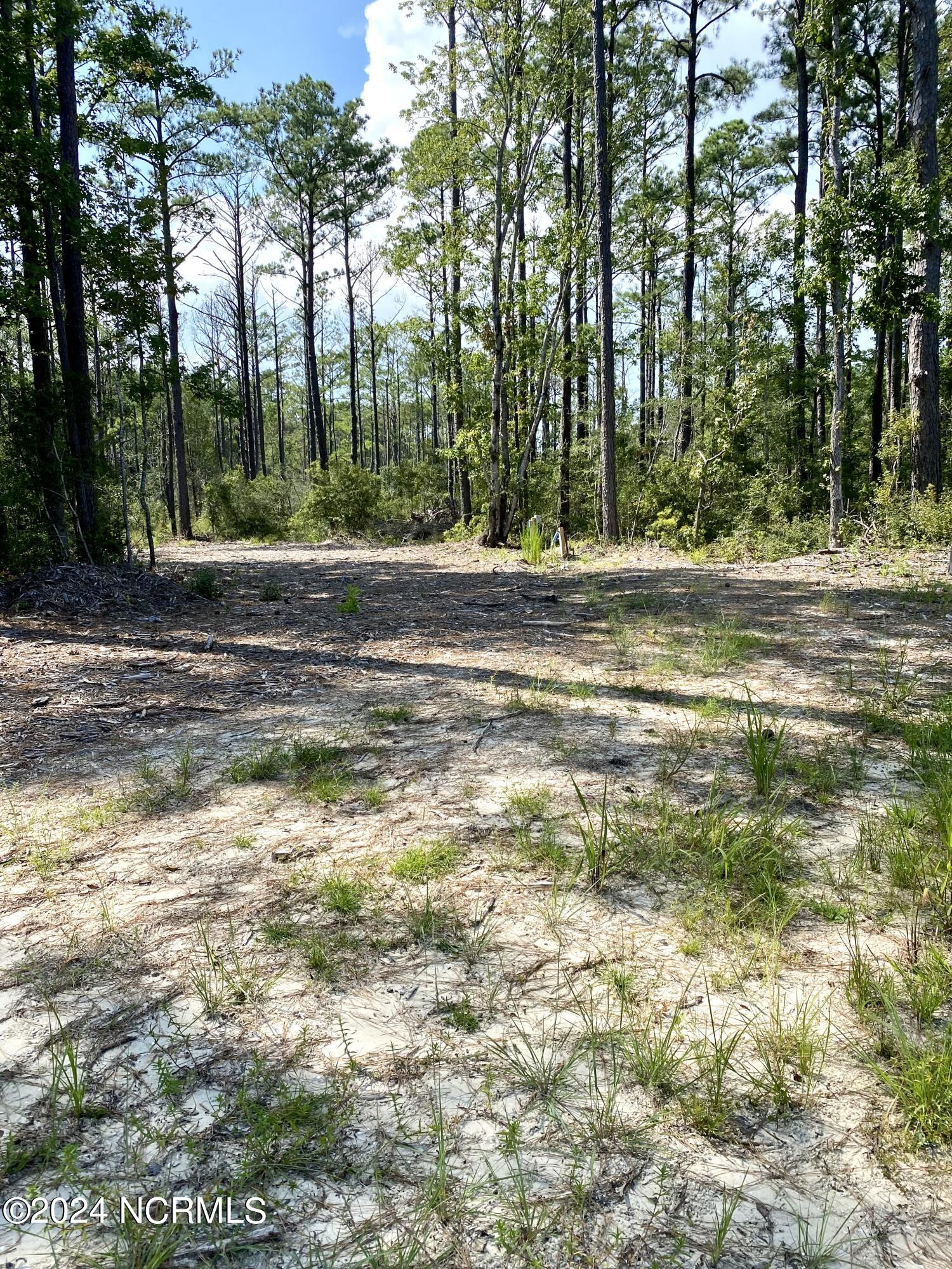 280 Donnie Davis Road,Williston