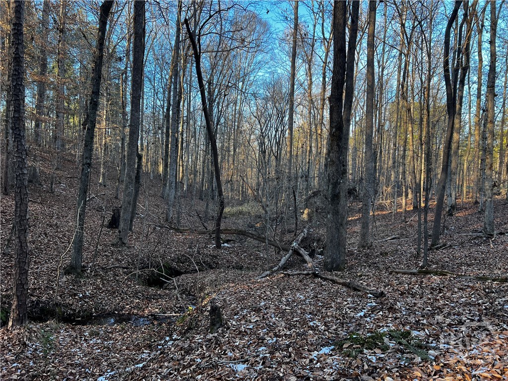 2285 Cherokee Road, Comer, GA, 30629