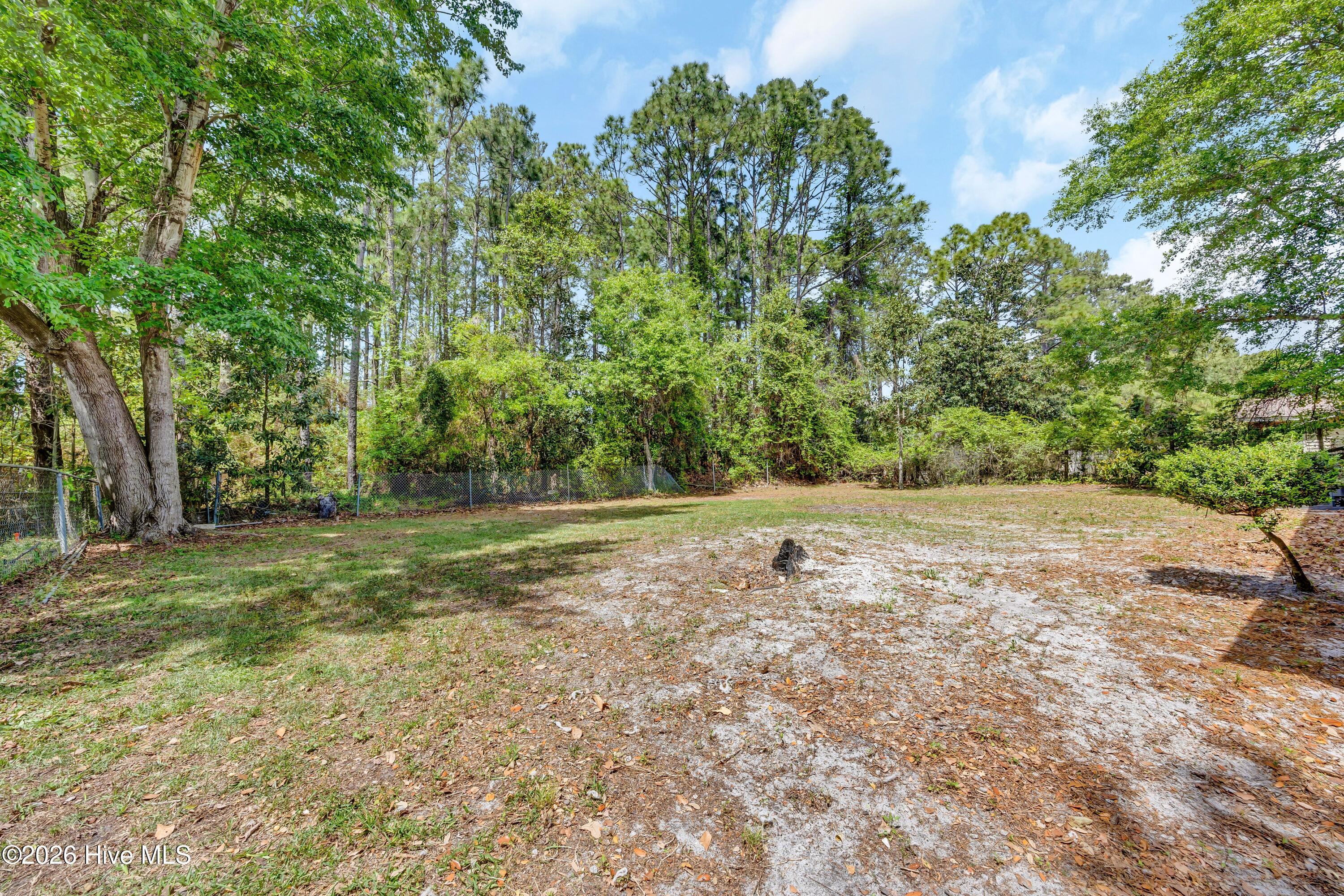 100566931 | Photo 22