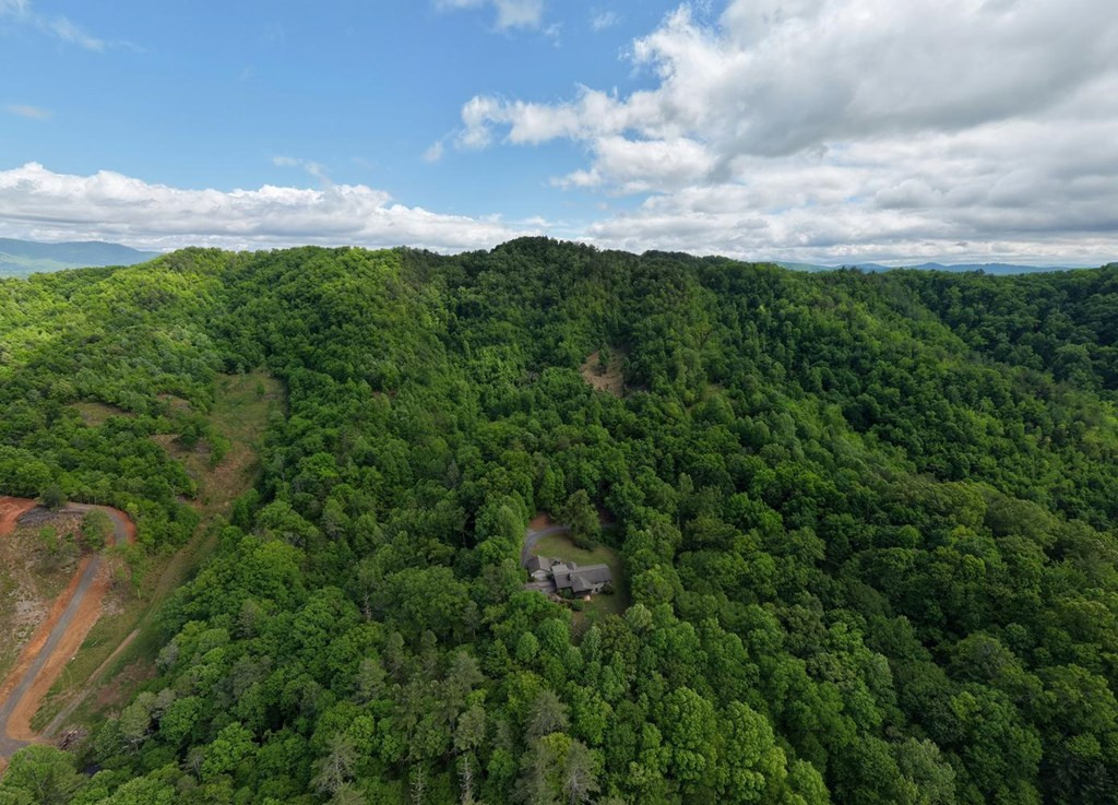 847 Deer Hill Road, Murphy, NC 28906 Listing Photo  53