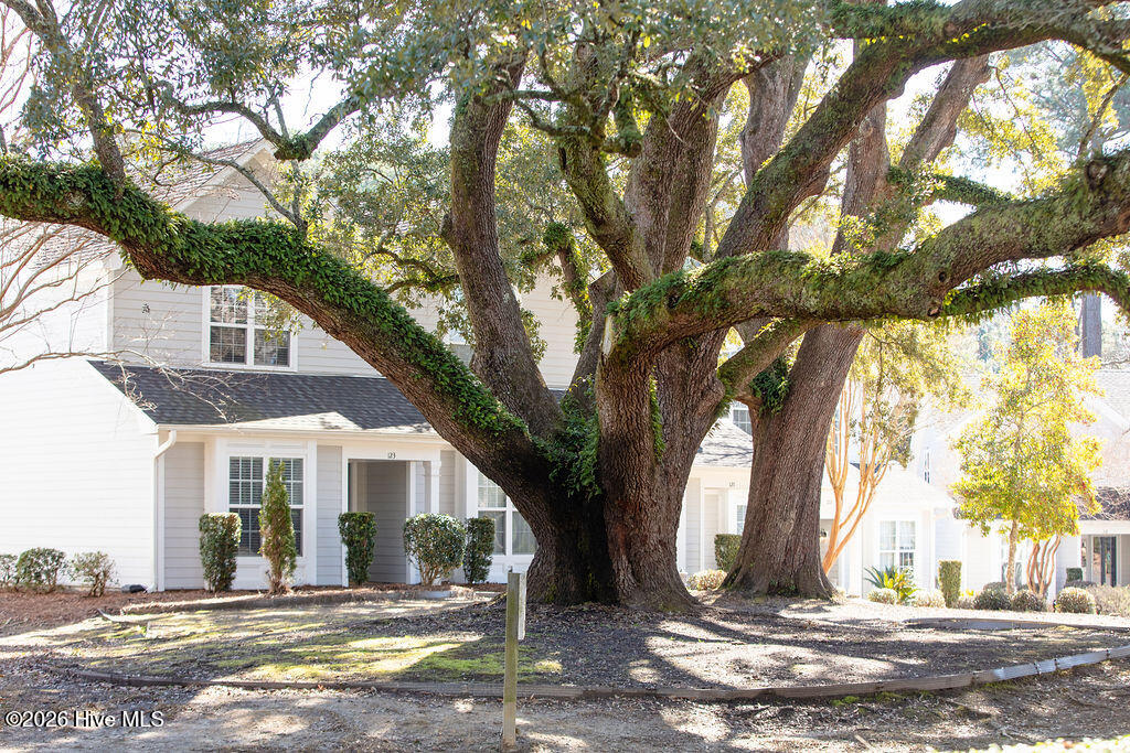 100557478 | Photo 38