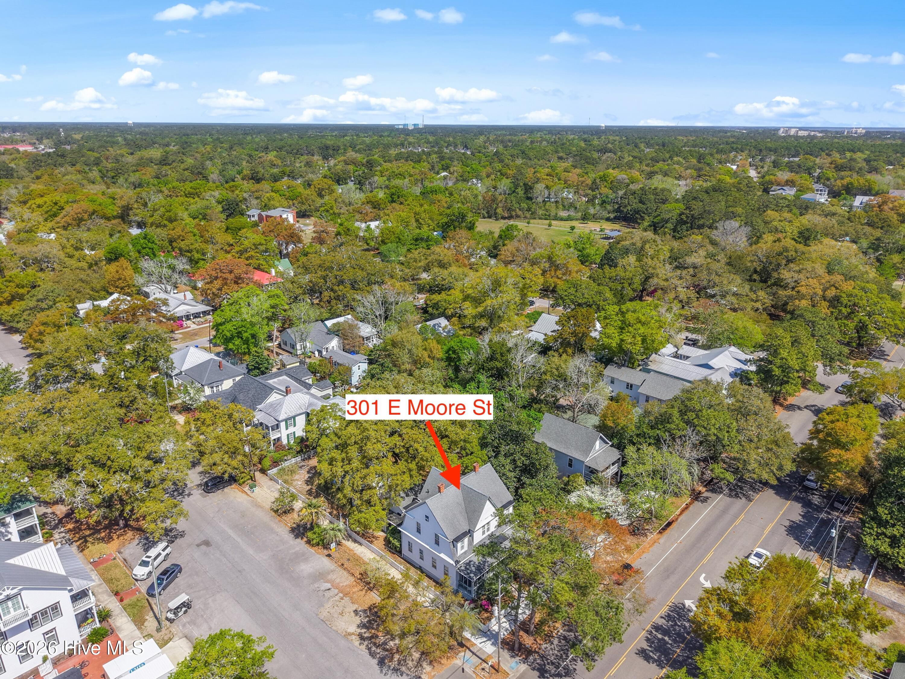 100566206 | Photo 58