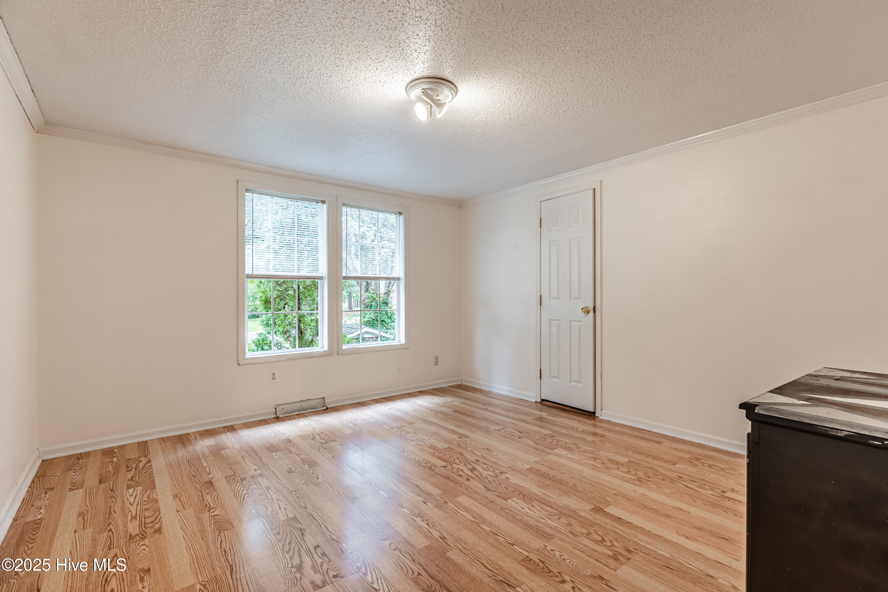 100524257 | Photo 24