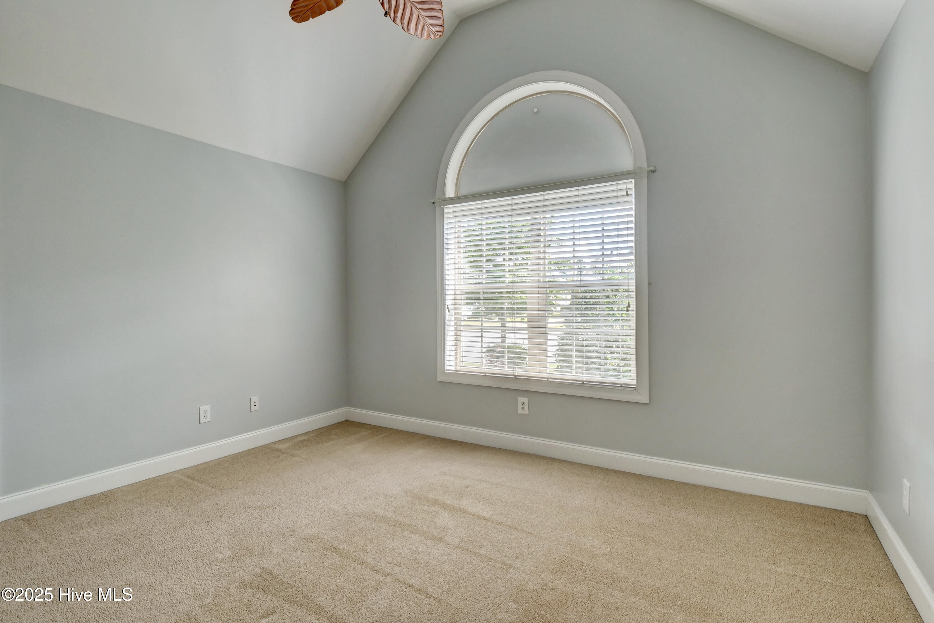 100539909 | Photo 25