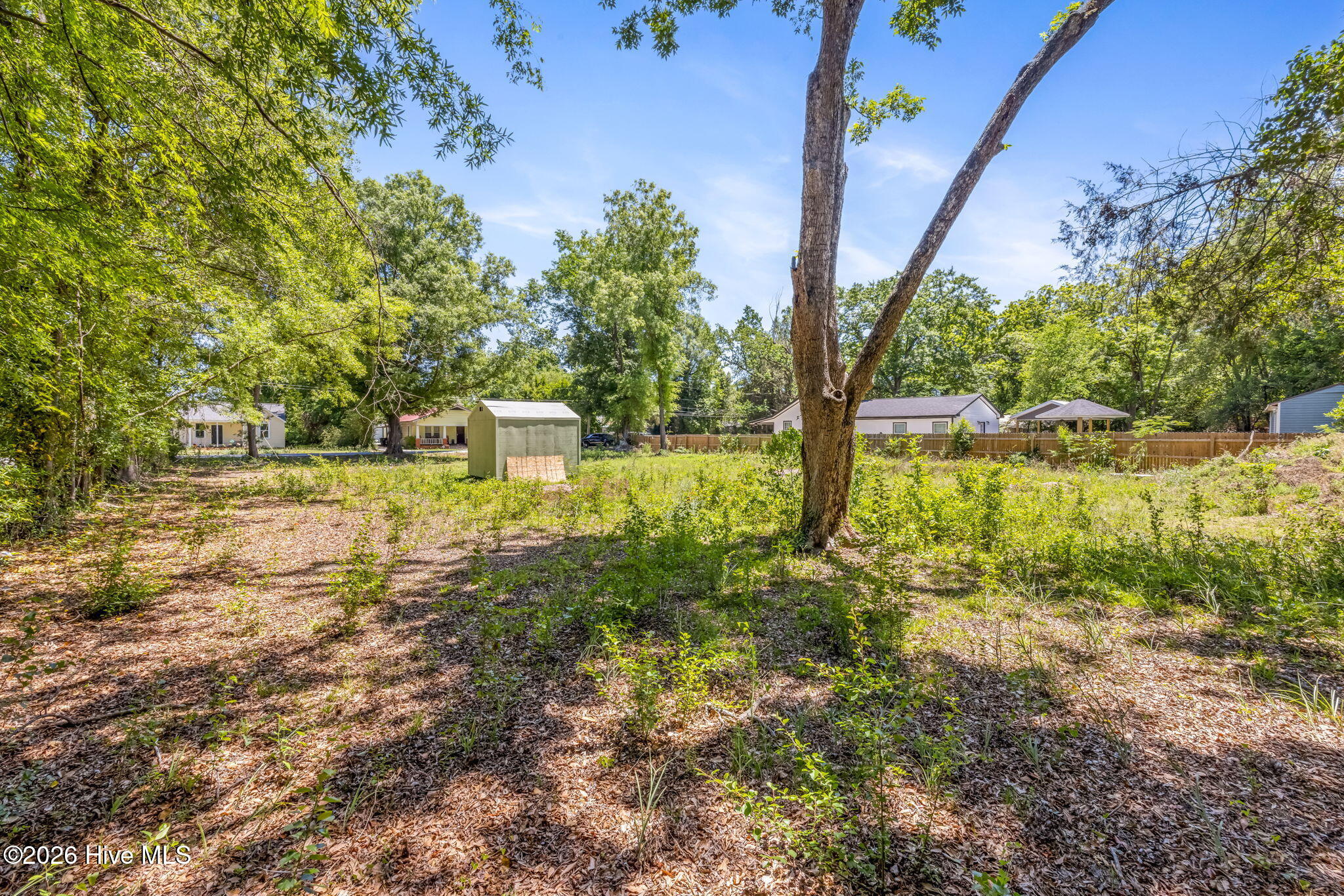 50-web-or-mls-1917 Haynie Drive-2