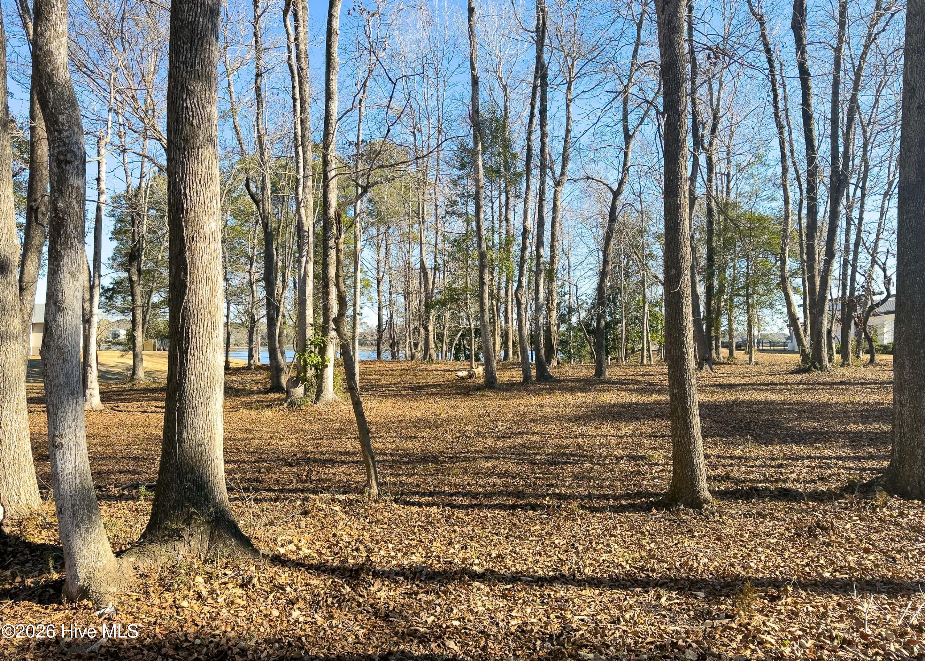 100551638 | Photo 11