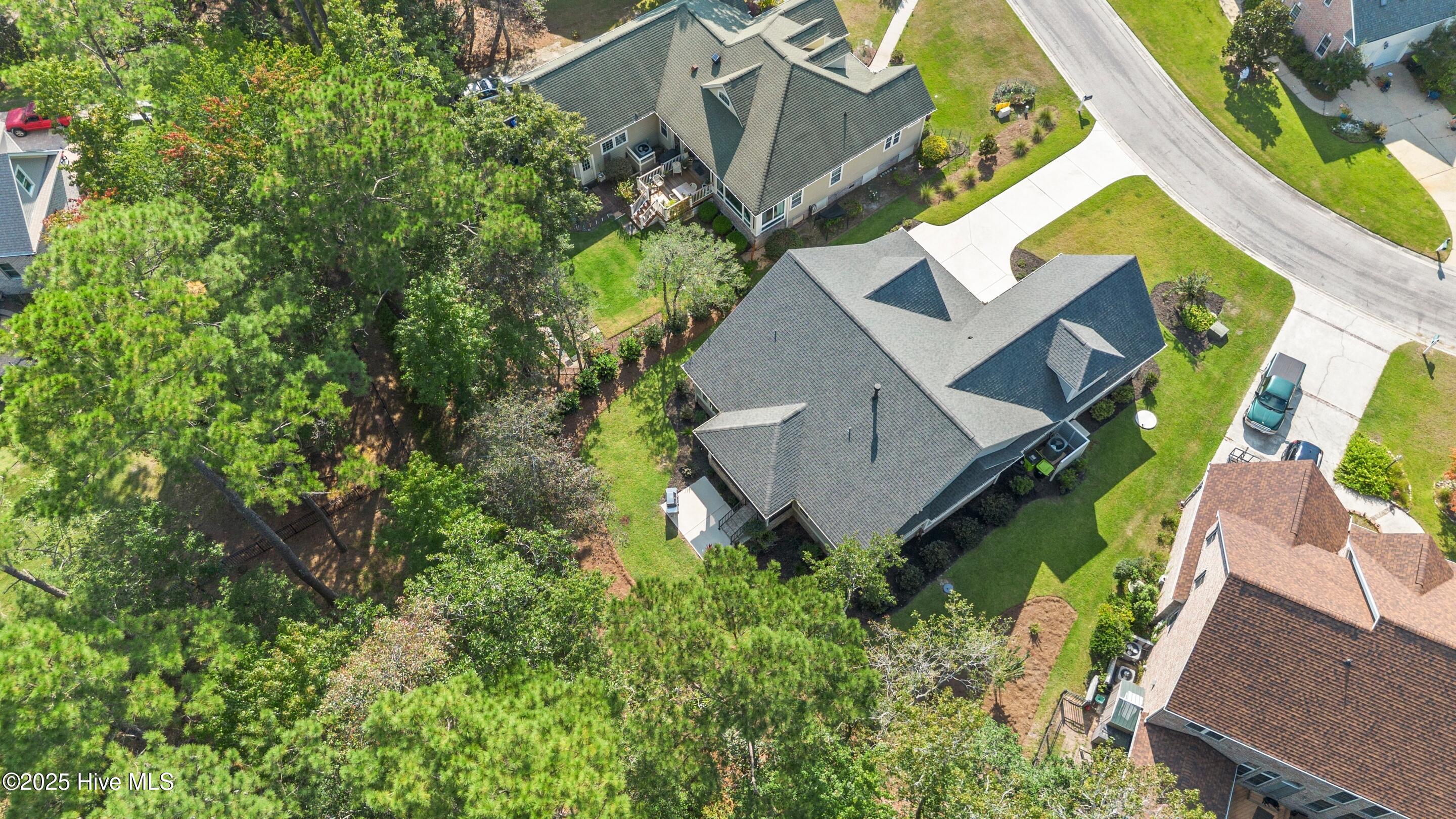 100558361 | Photo 112