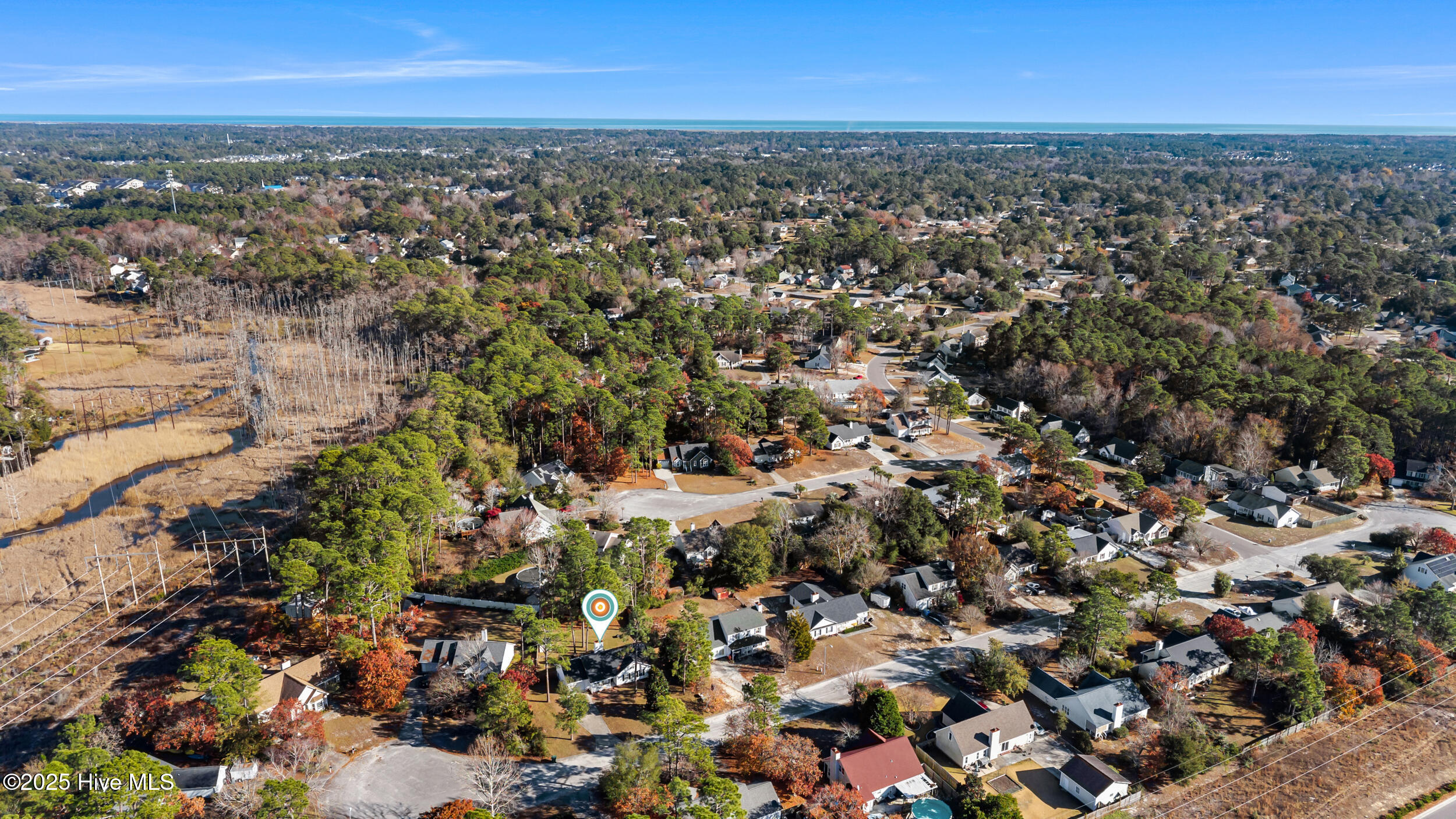 100545167 | Photo 35