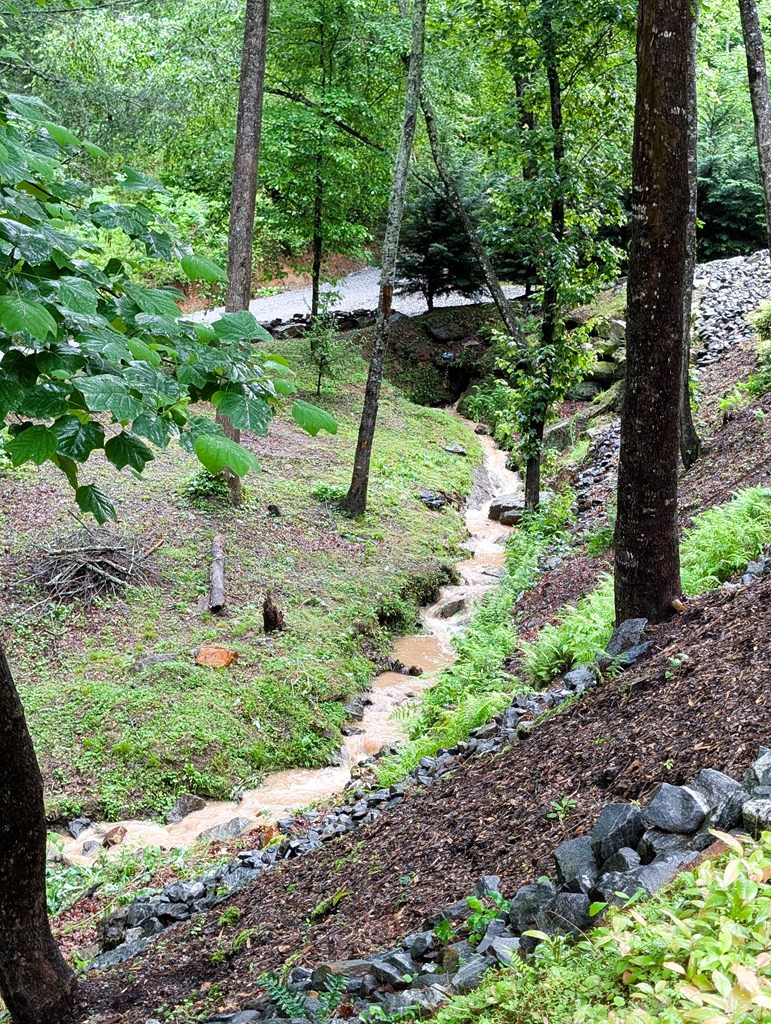 262 Zekes Trail, Marble, NC 28905 Listing Photo  42