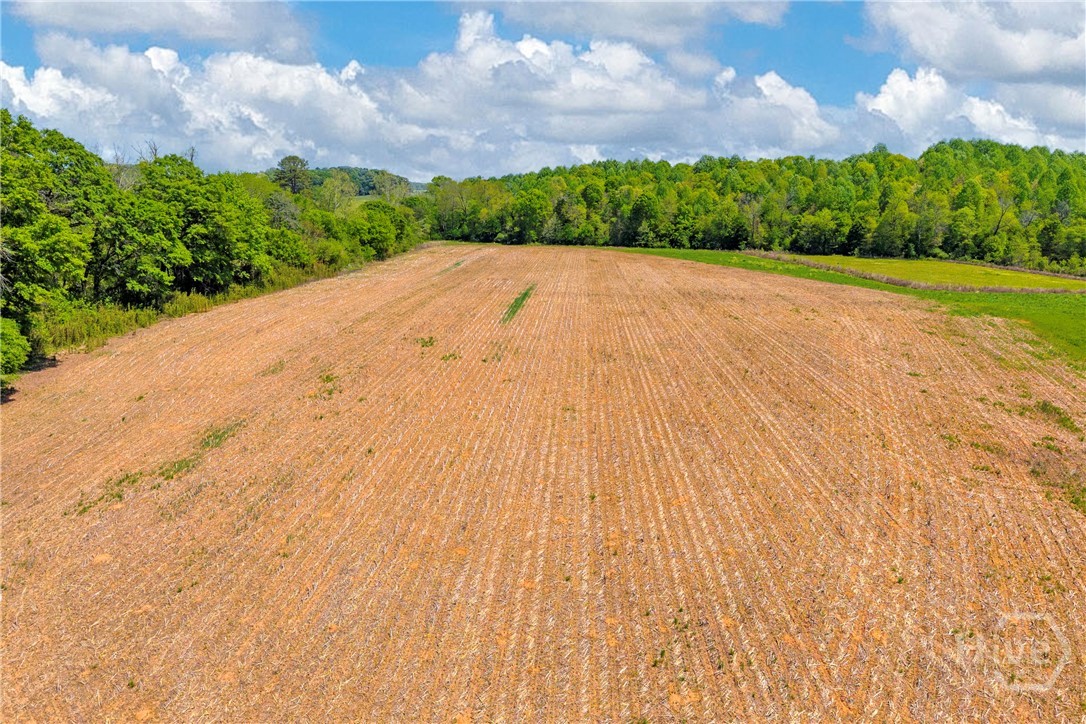 1224 Cedar Ridge Road, Commerce, GA, 30530