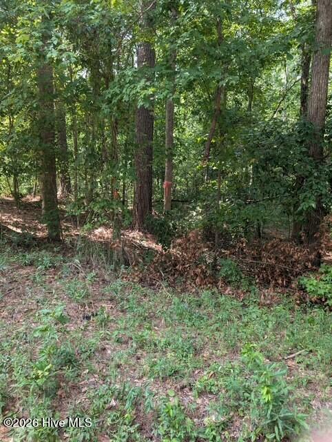 3rd image of 1-A New Delaughter Dr, North Augusta, SC 29860 | MLS# 100590357