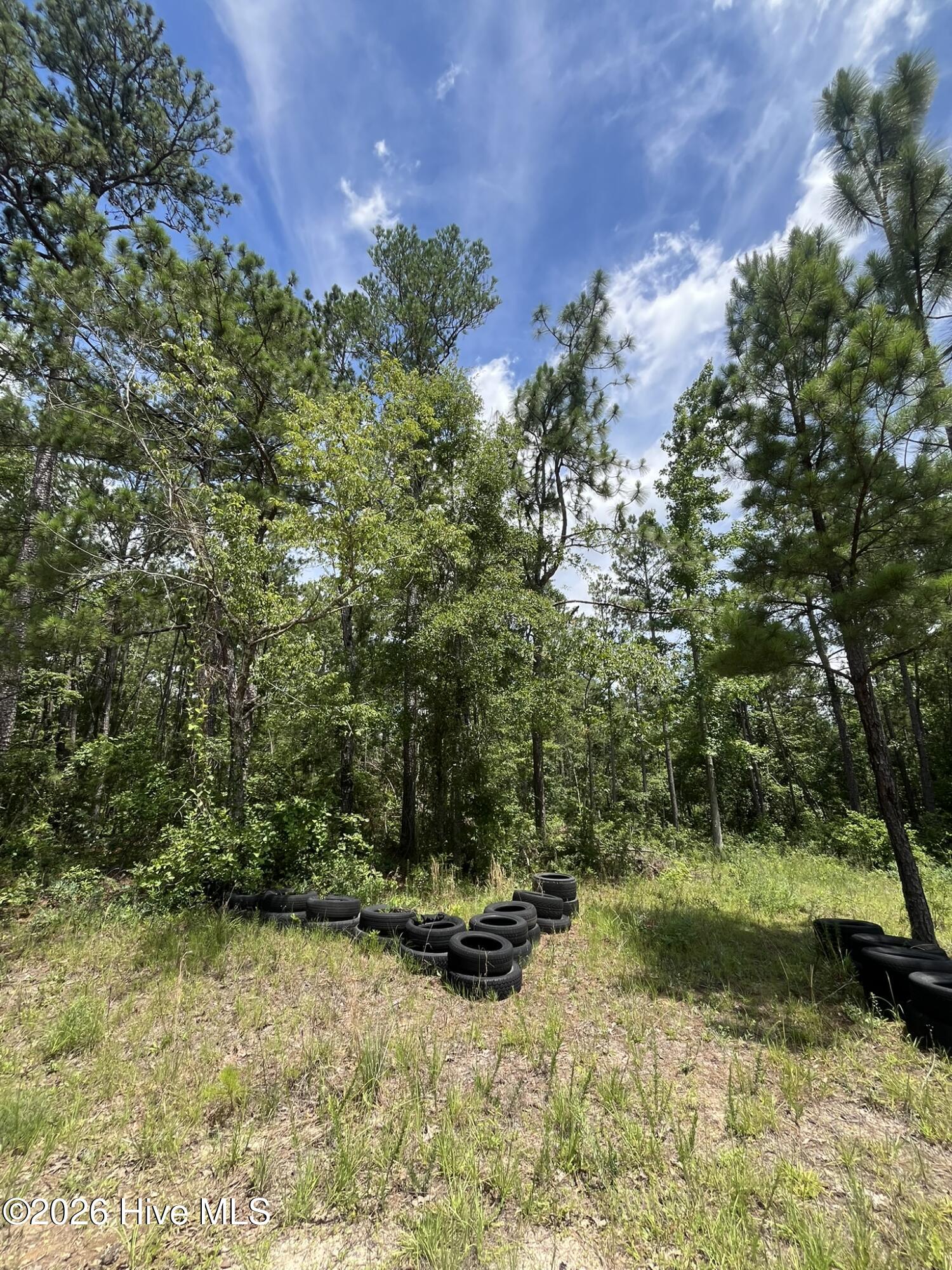 Photo 3 of Land for sale at 160 Charlene Dr, Hephzibah, GA 30815 | MLS# 100605713 | Listing updated on 2026-09-23