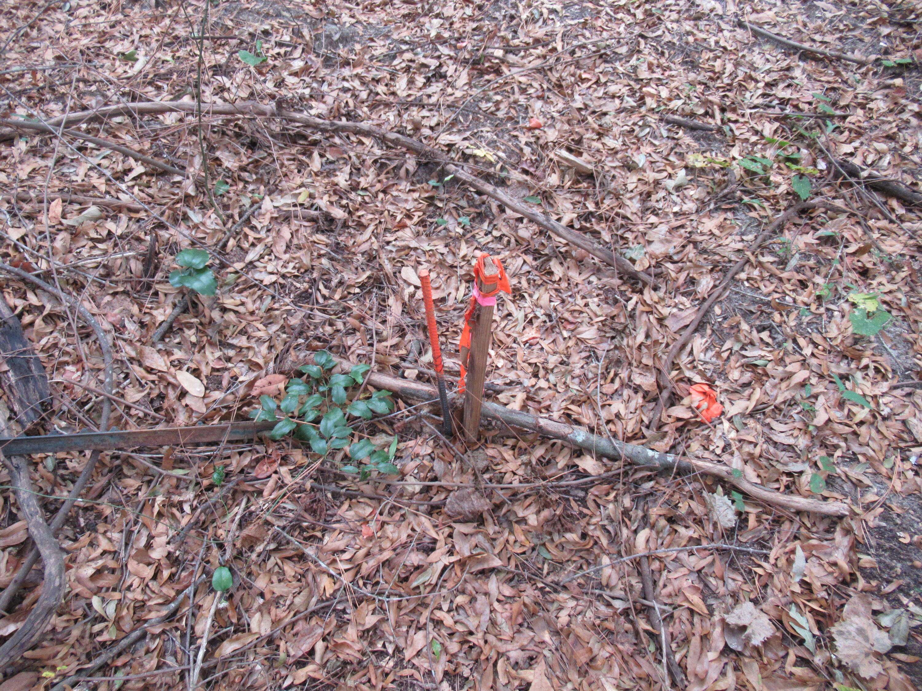 0 TWIN PINES RD., Keysville, GA, 30816