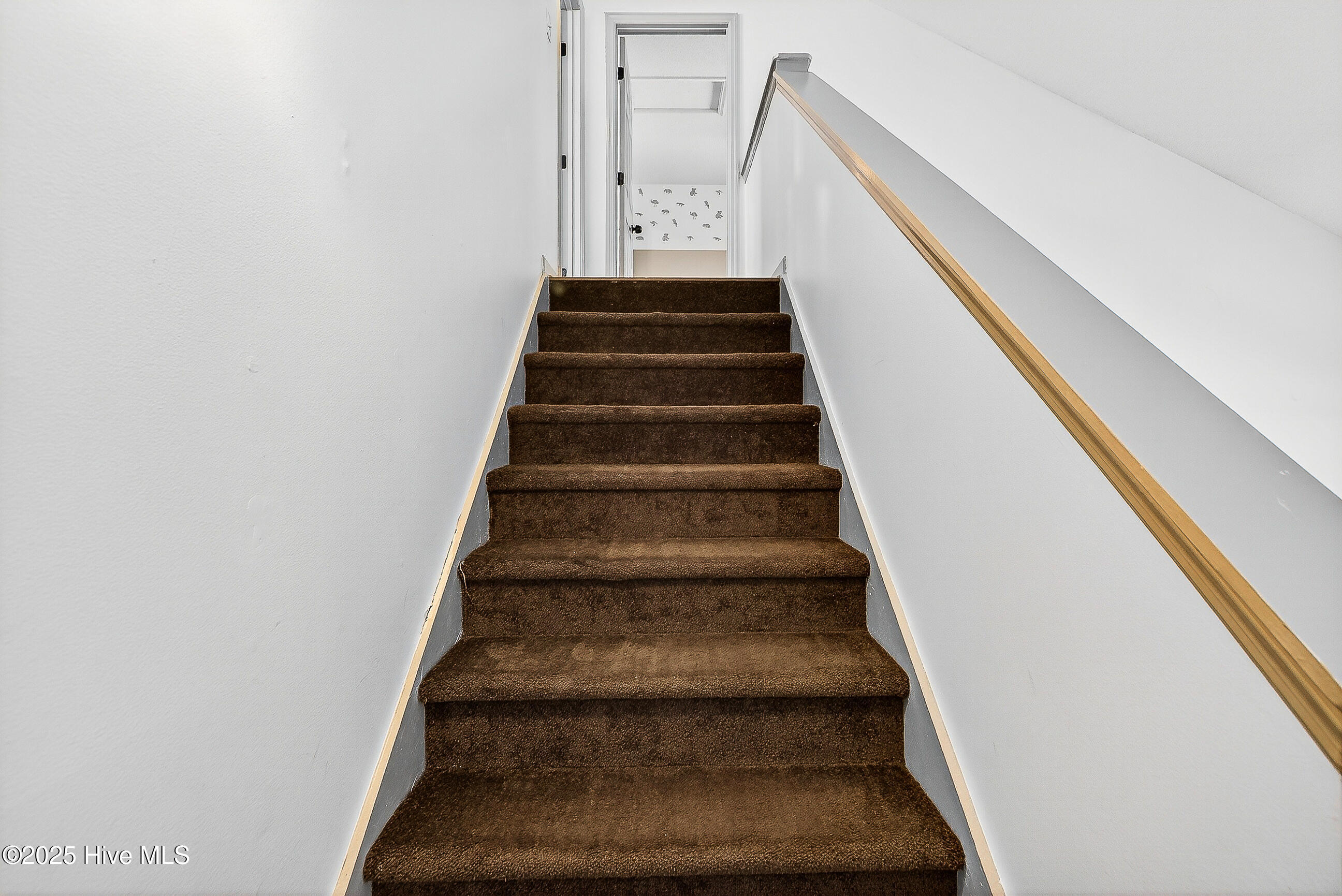 100537244 | Photo 20