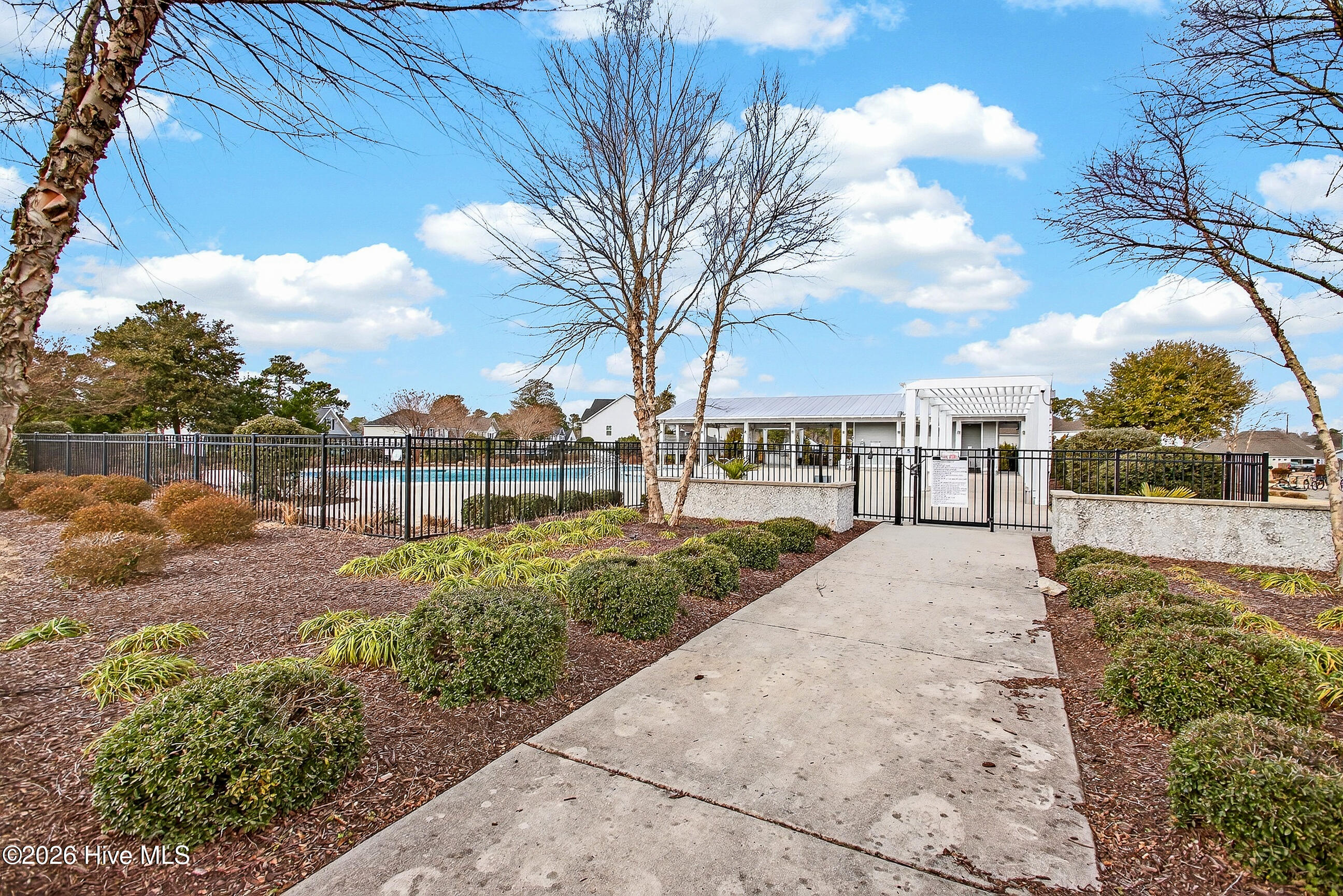 100558973 | Photo 36