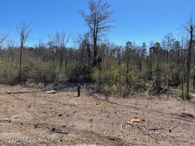 100446082 | Photo 16