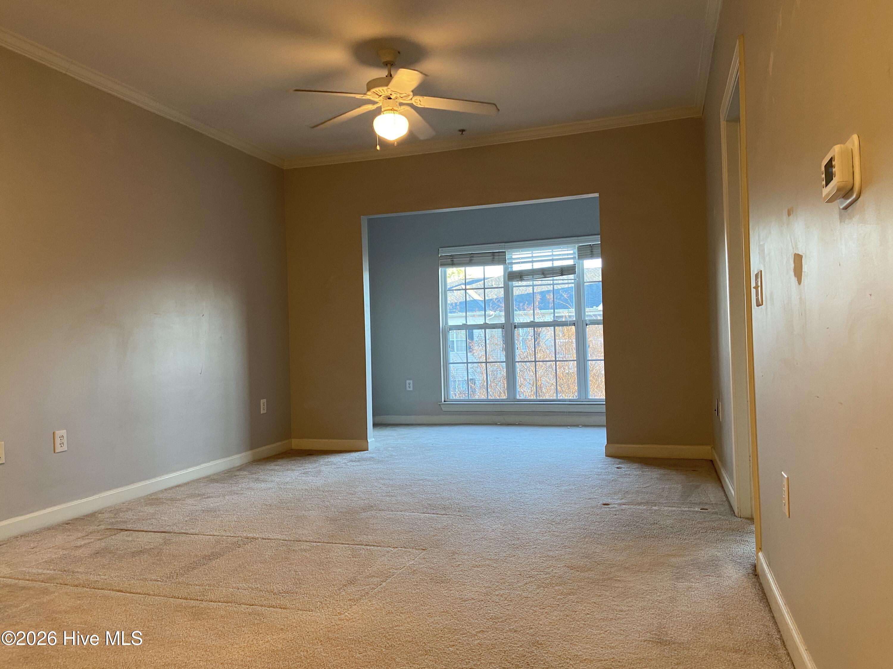 100549389 | Photo 11