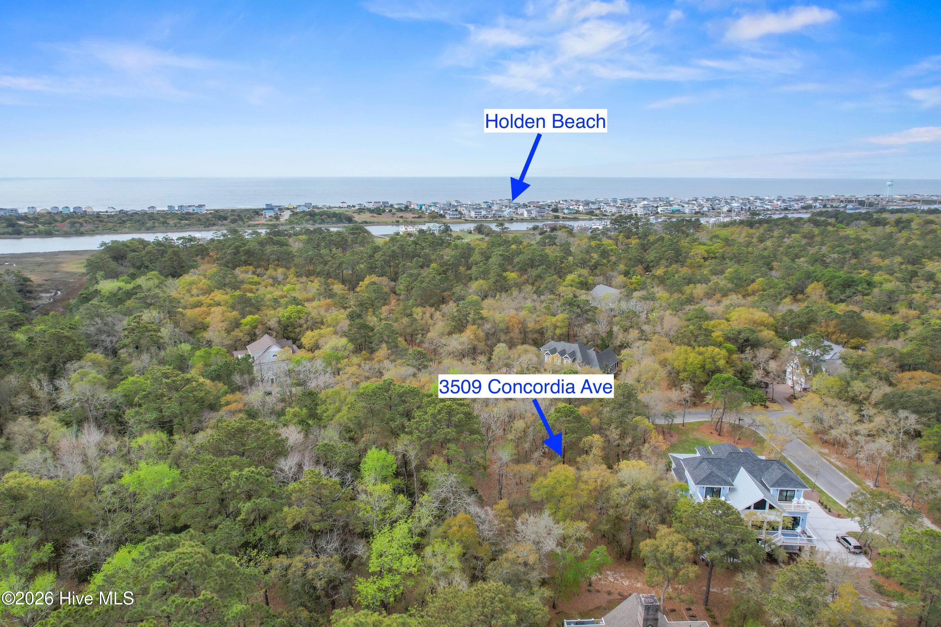 100567626 | Photo 10