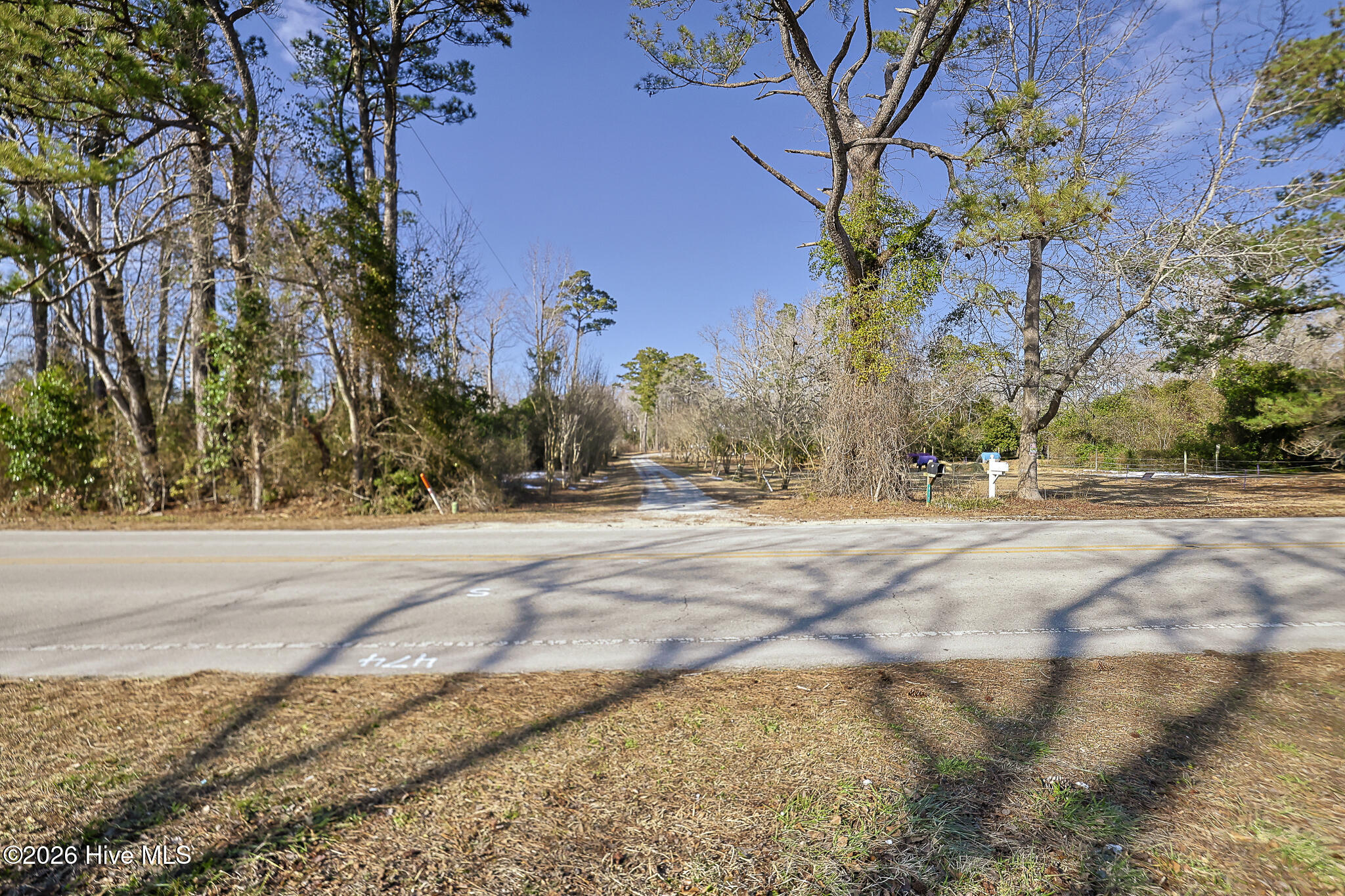 100555020 | Photo 10