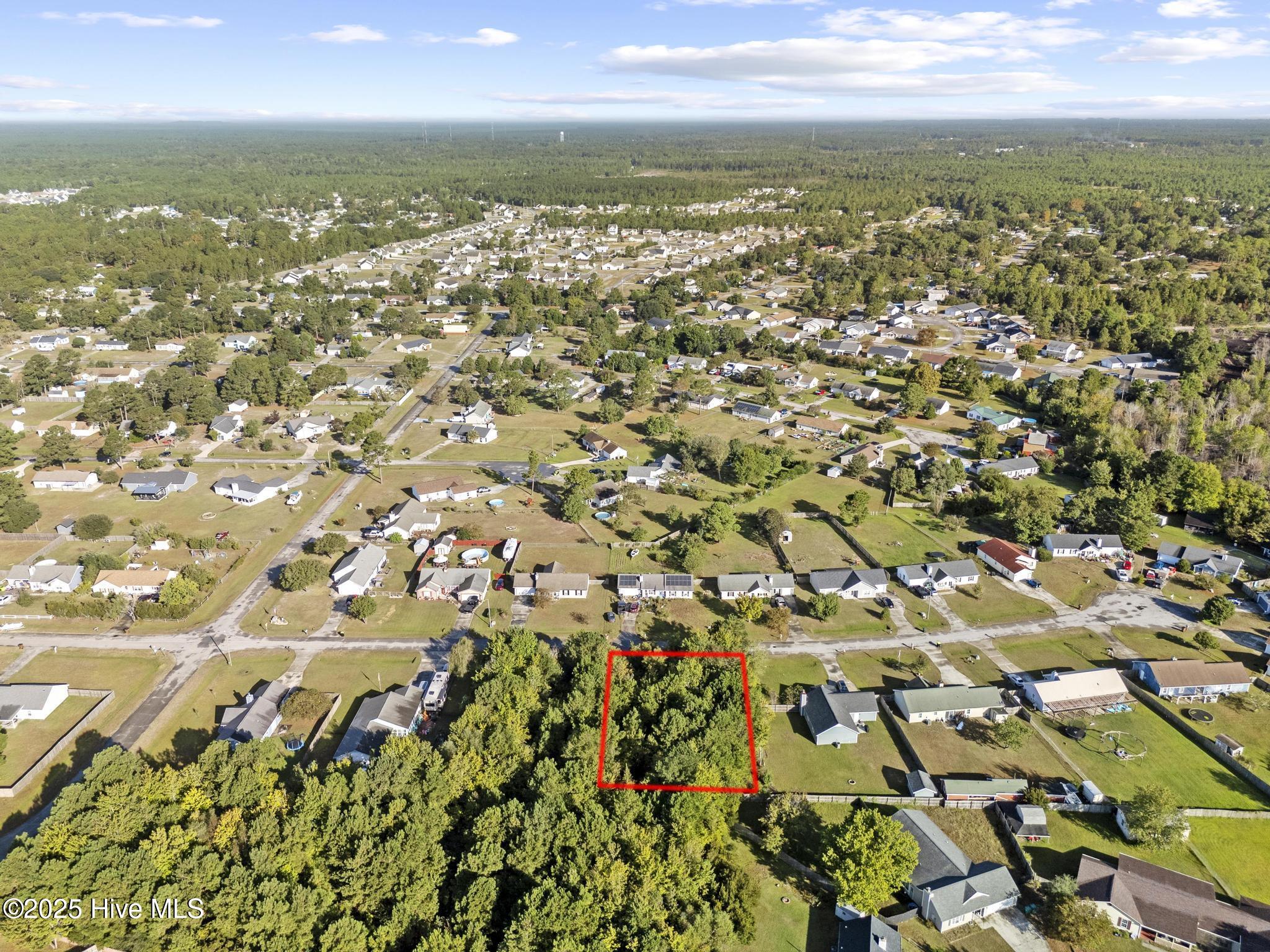 100534840 | Photo 14