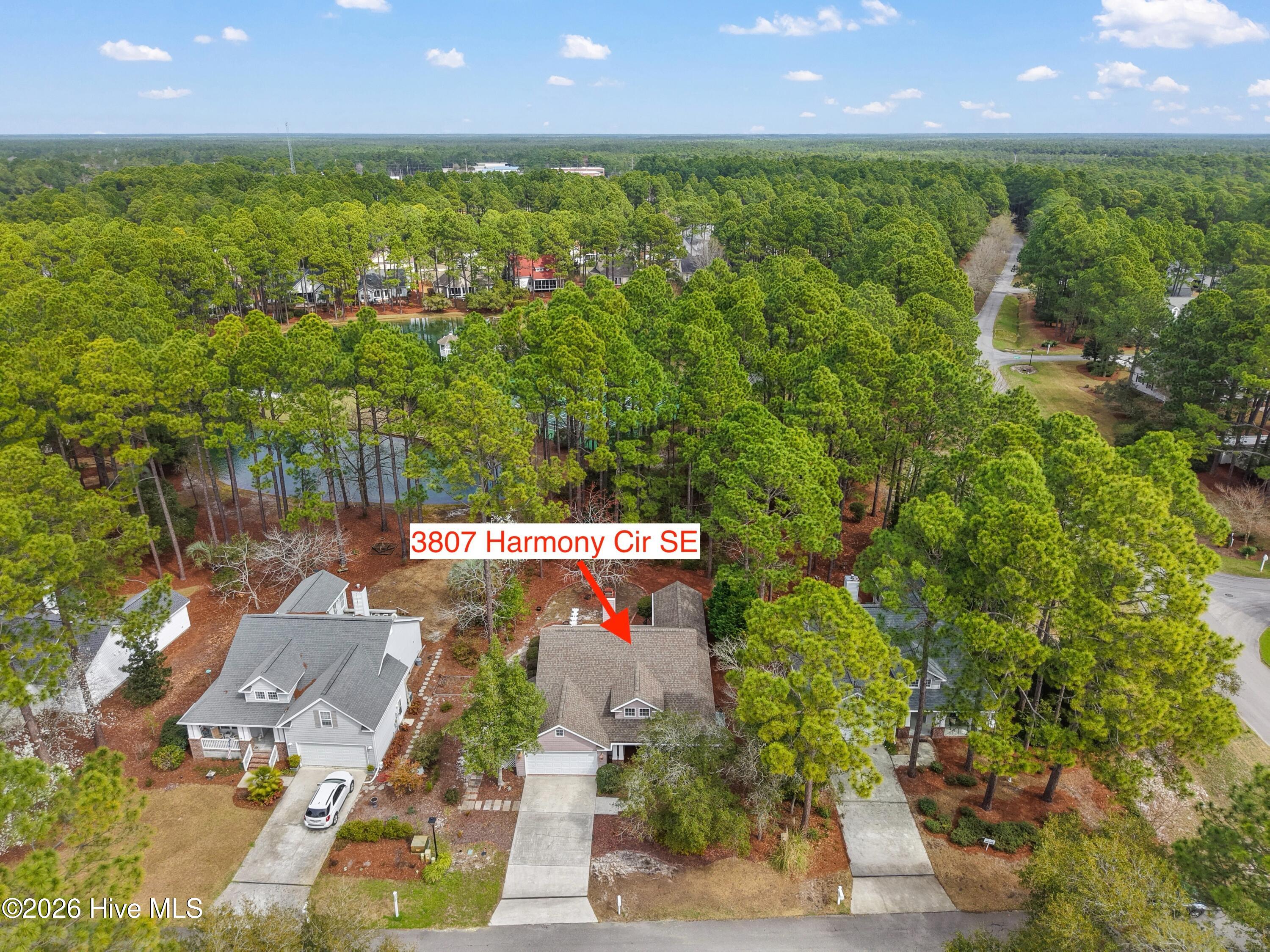 100559952 | Photo 47