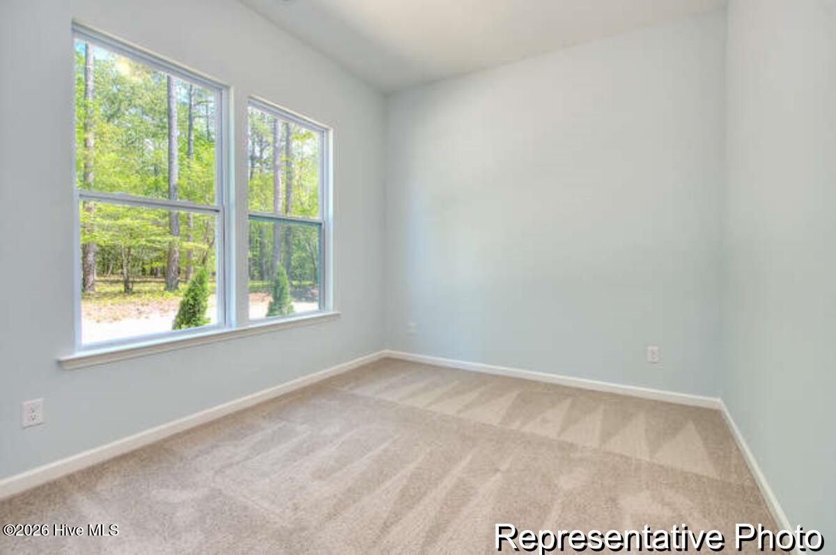 100563715 | Photo 24