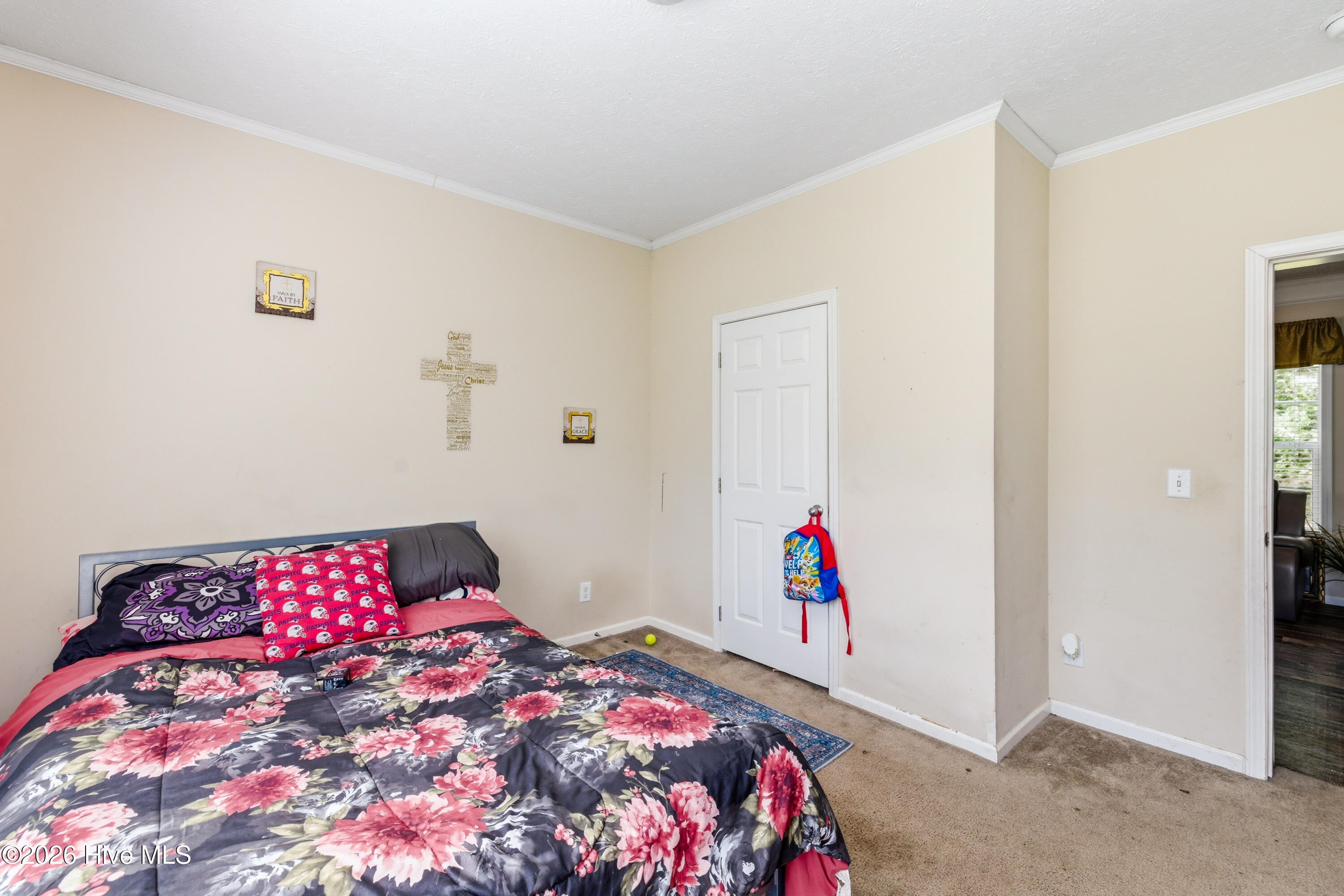 100565815 | Photo 20