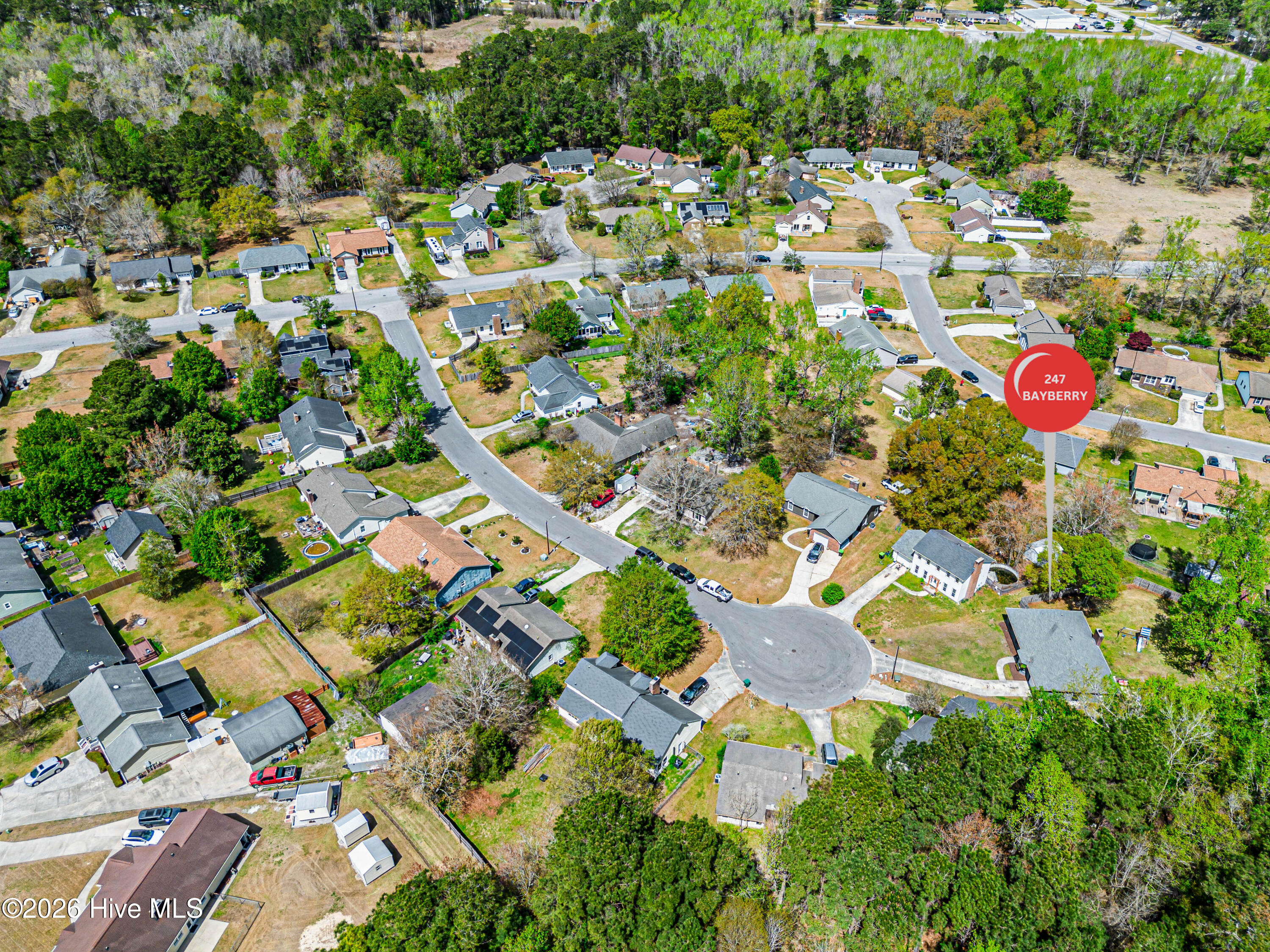 100569074 | Photo 69