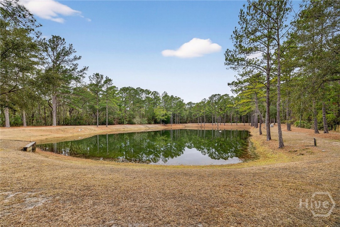 22103 GA HWY 144 E, Richmond Hill, GA 31324 Listing Photo  41
