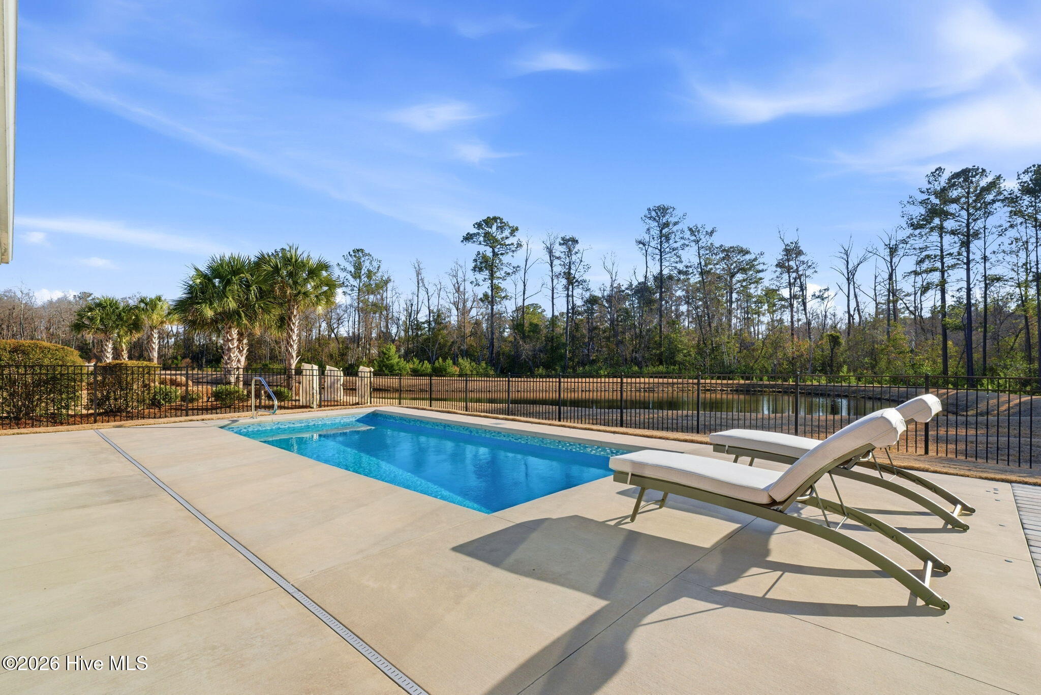 100555093 | Photo 47