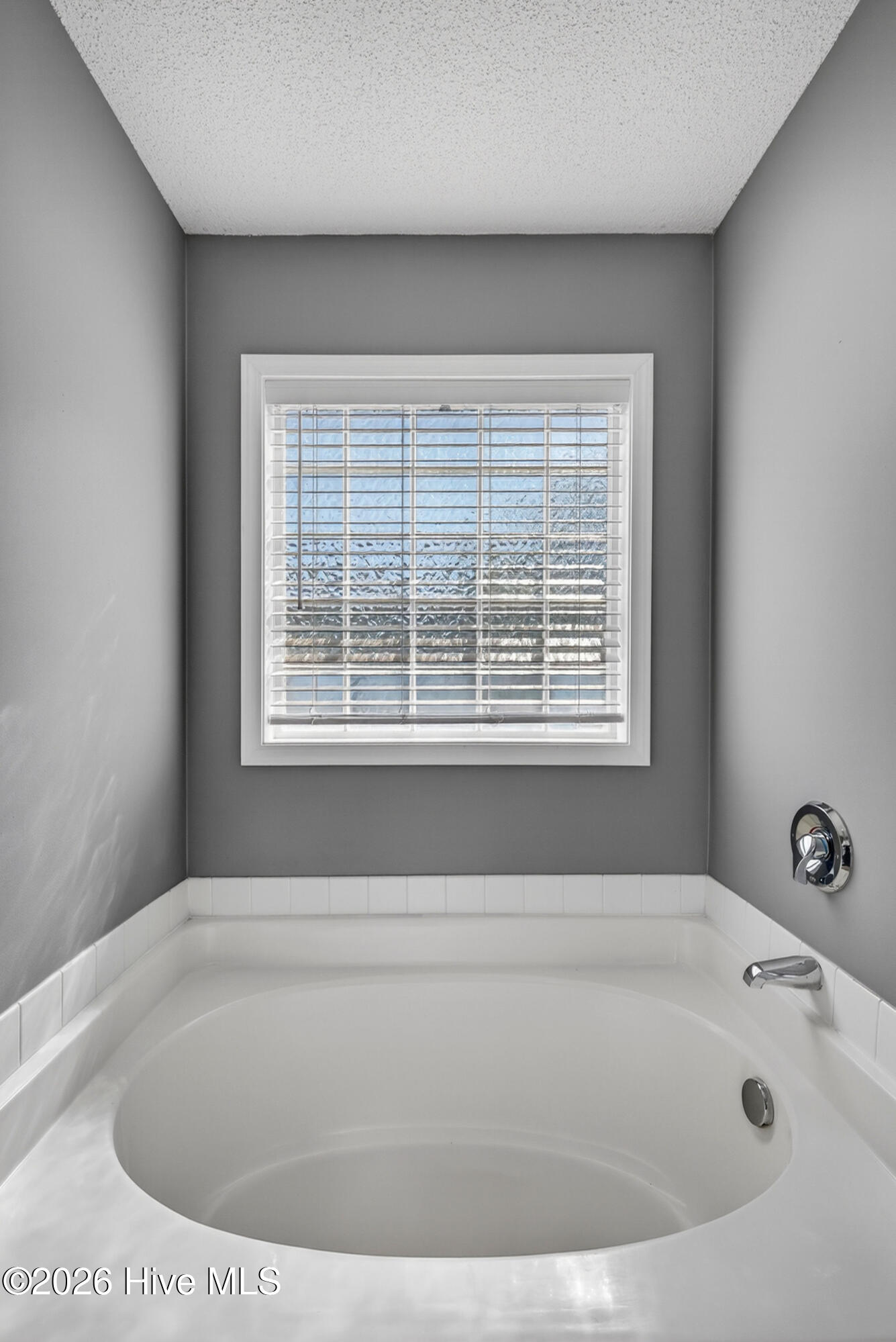 100567881 | Photo 25